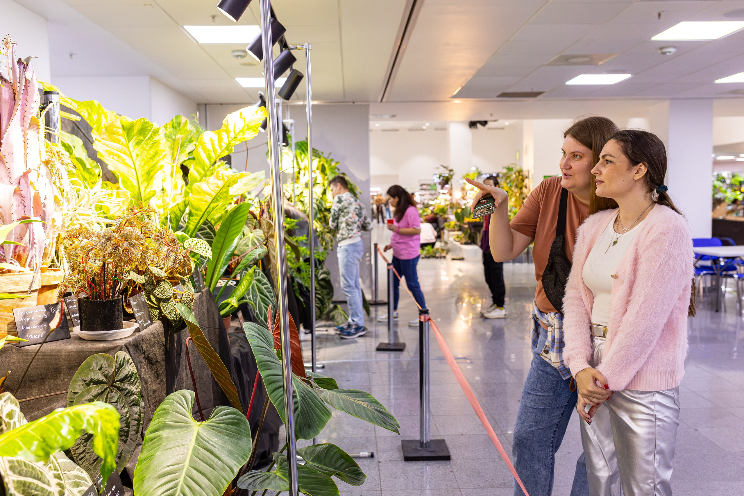 Монстериум 11–12 октября. Александра Куликова фотограф, Москва