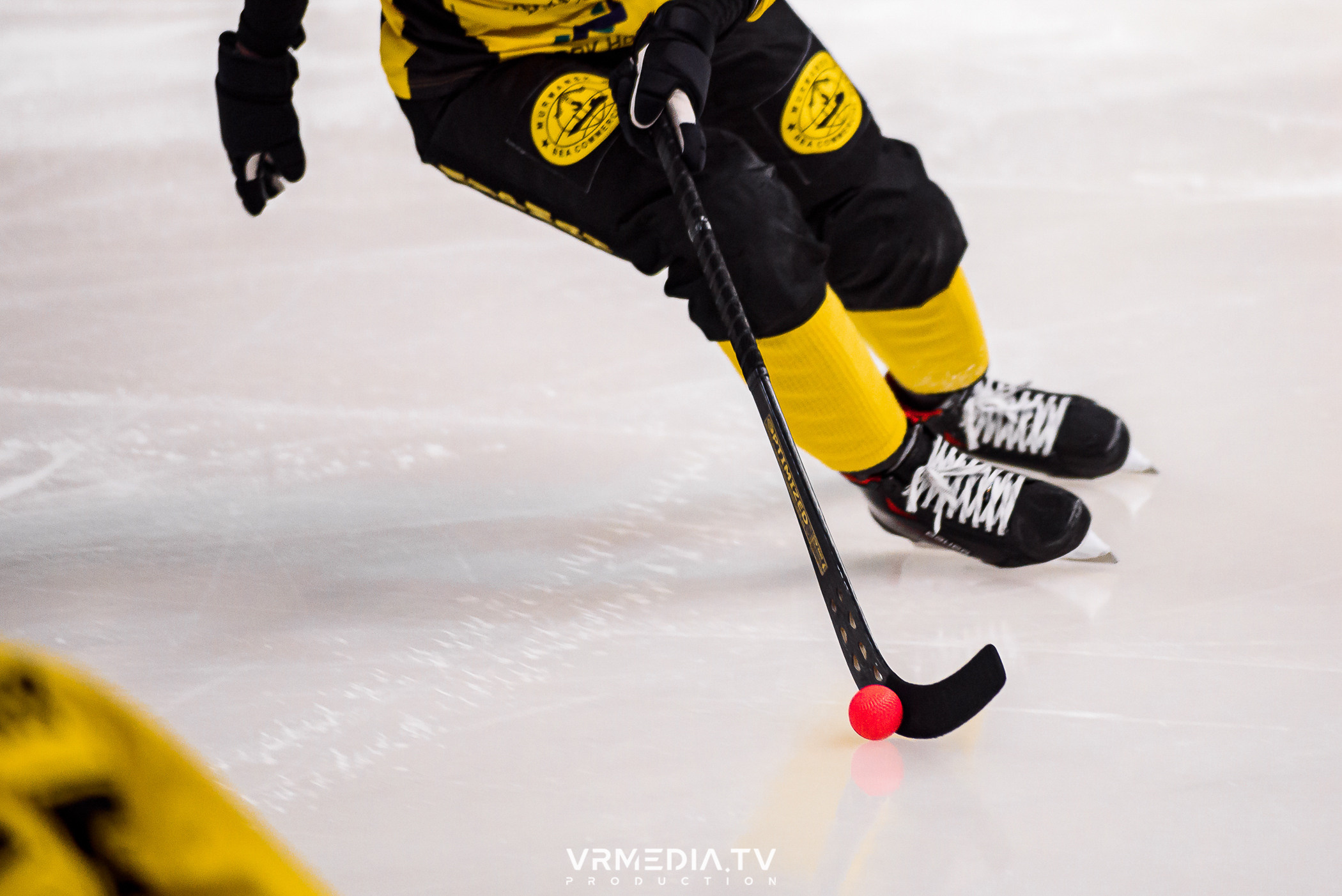 Суперлига 2023: Кузбасс — Мурманск