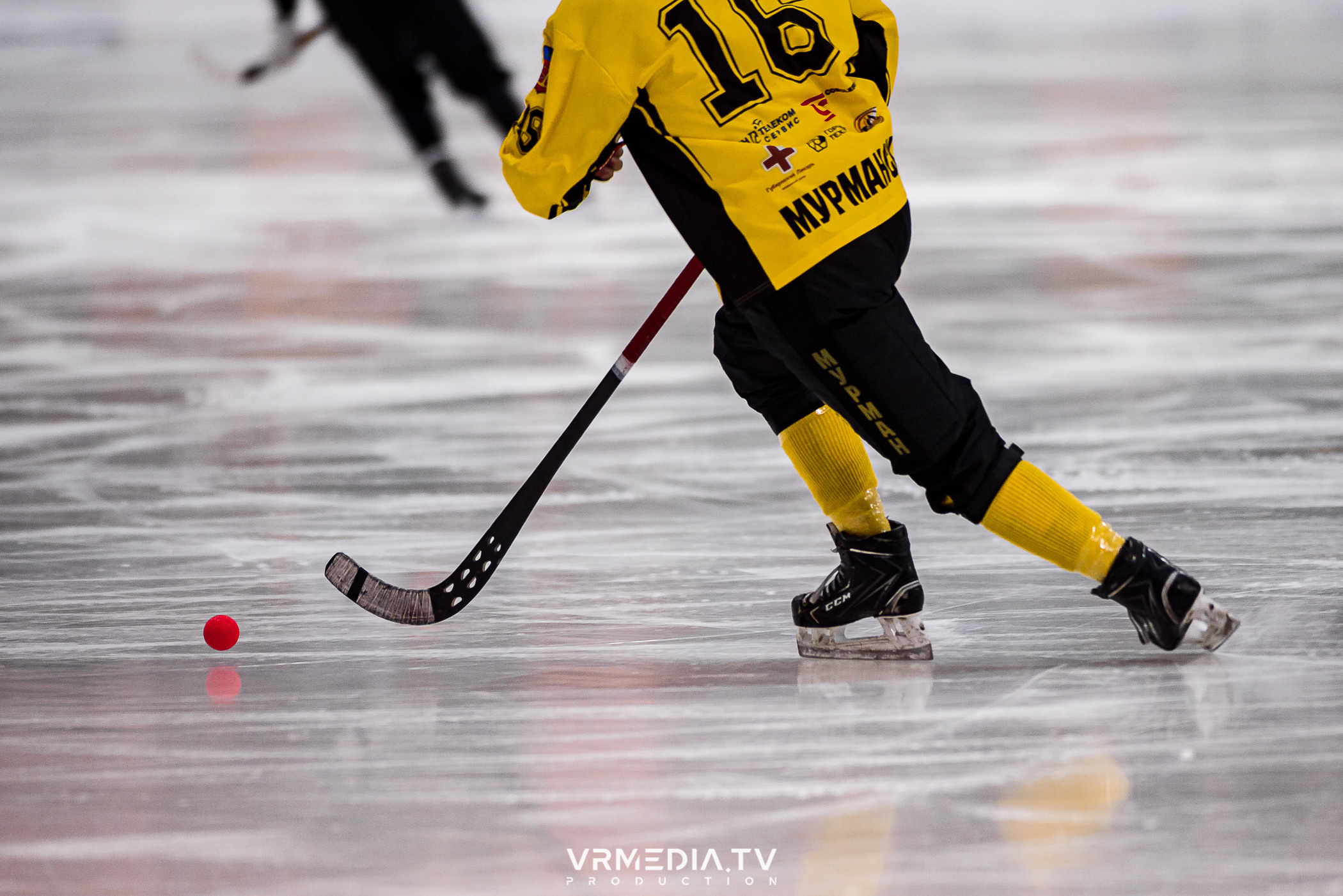 Суперлига 2023: Кузбасс — Мурманск