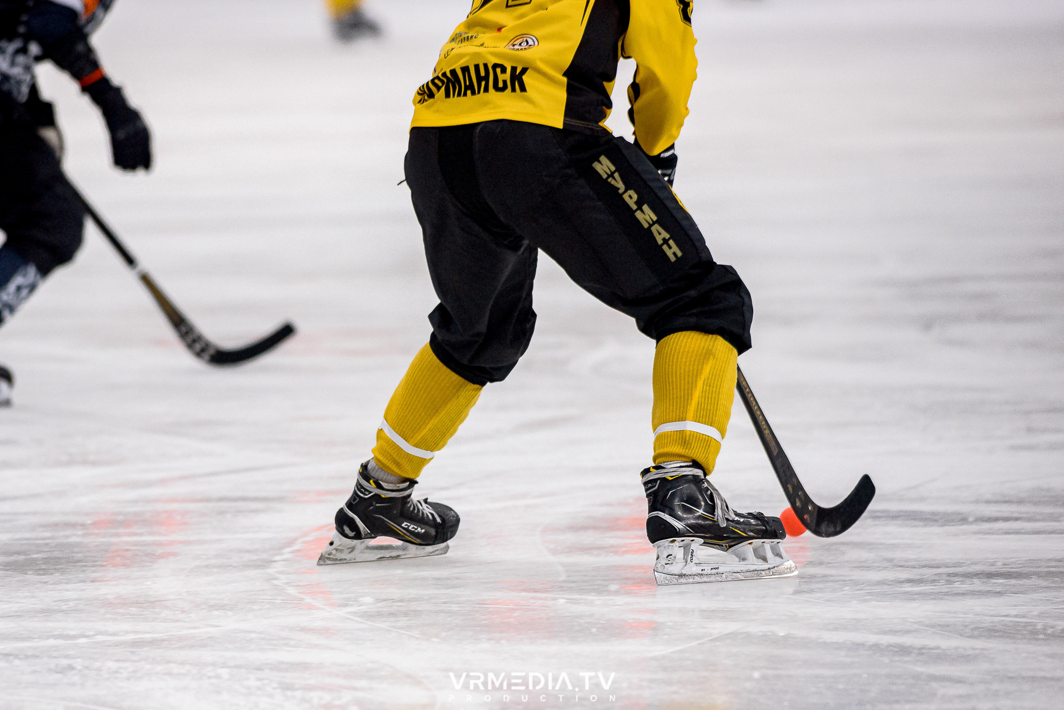 Суперлига 2023: Кузбасс — Мурманск