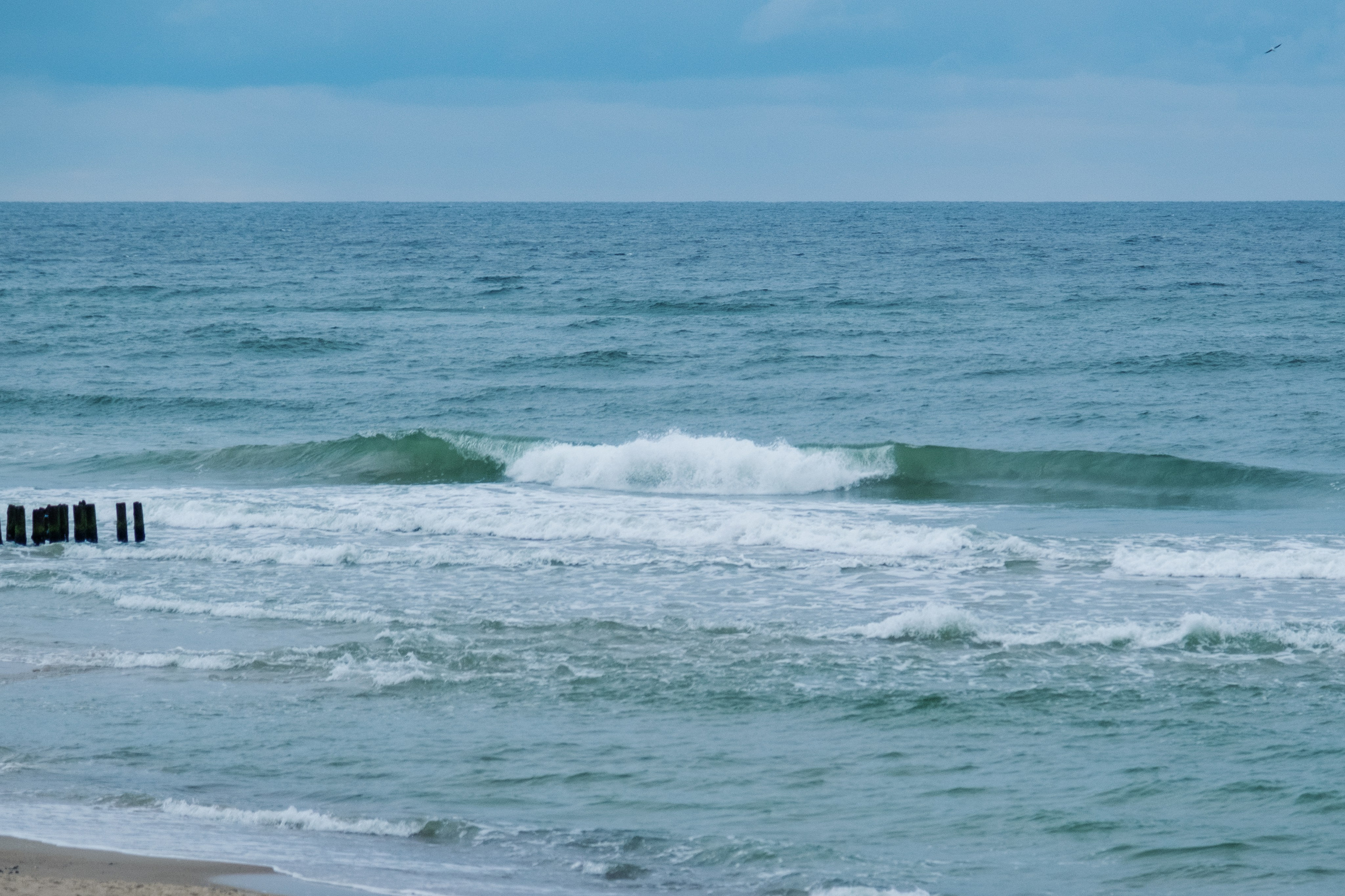 Первенство Калининградской области