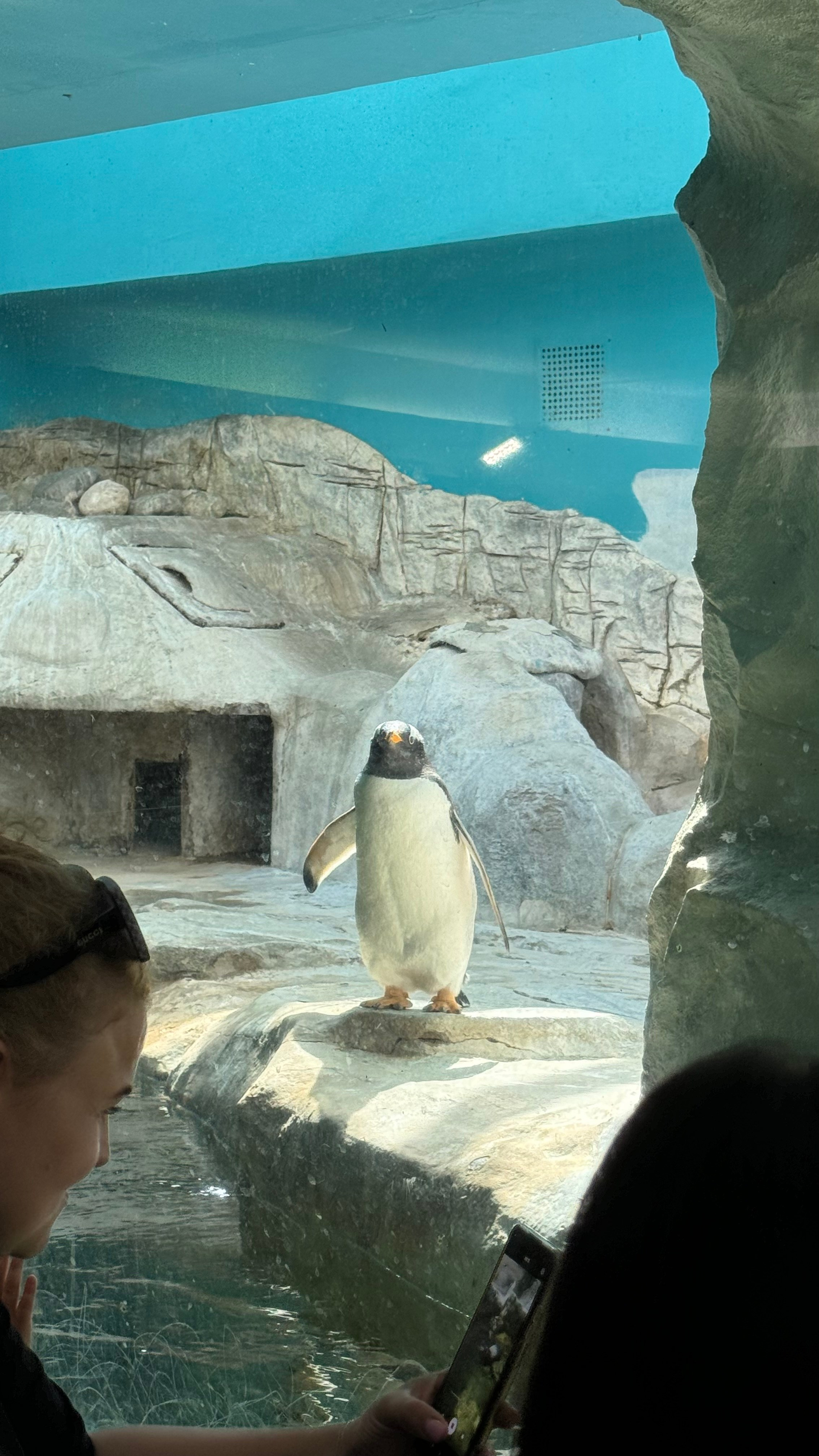 Приглашаем в арт-лагерь в Москве для детей!. Арт-вечеринки и мастер-классы в Москве для взрослых и детей