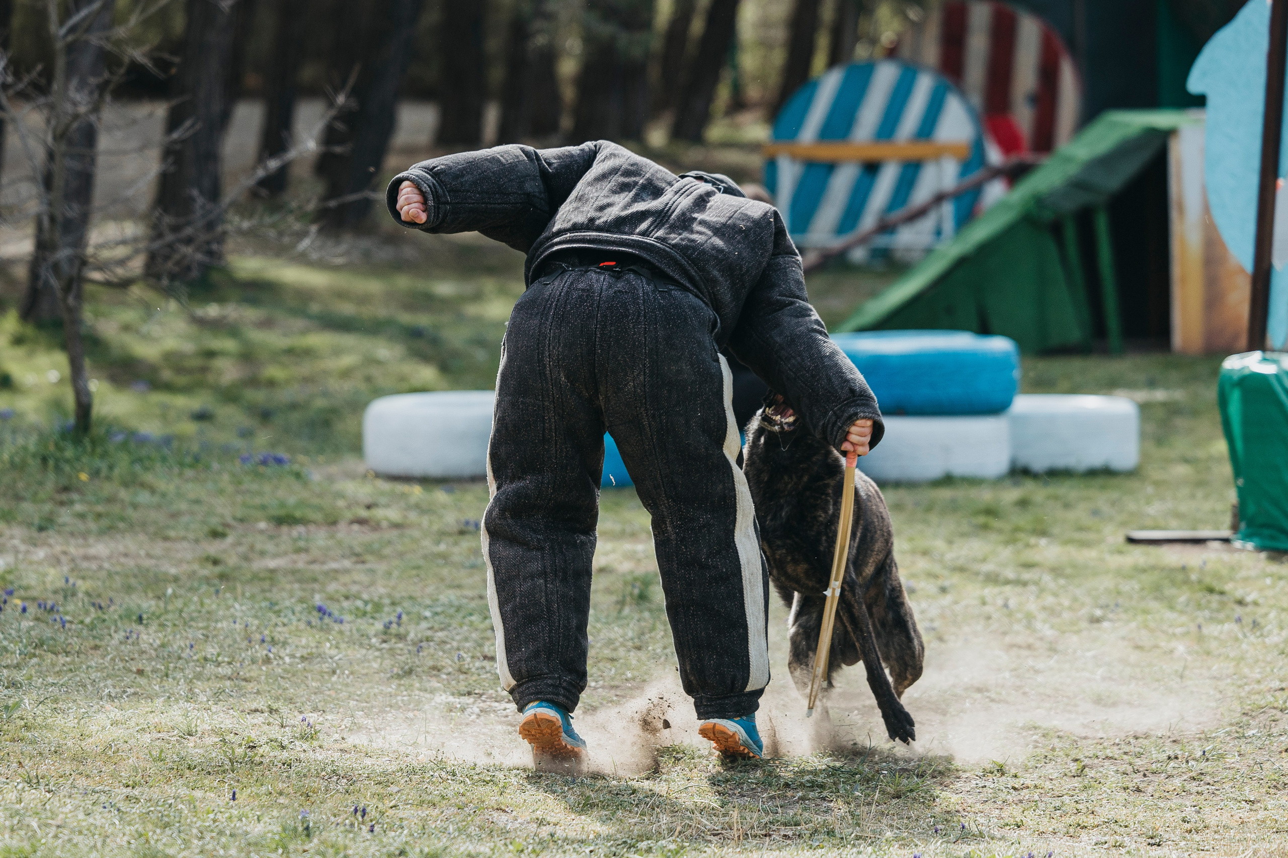 Геленджик Мондьоринг. Фотограф-анималист Анна Маринич