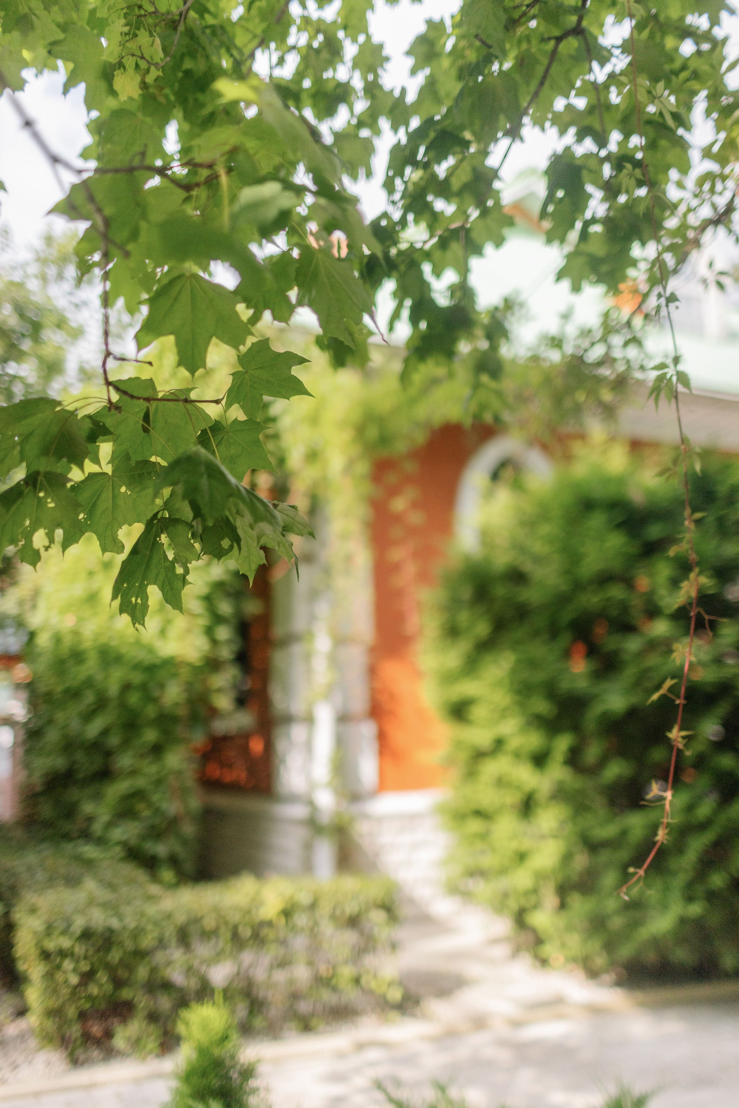 Теона и Тимур. Портфолио свадебного фотографа. Роман Каргаполов