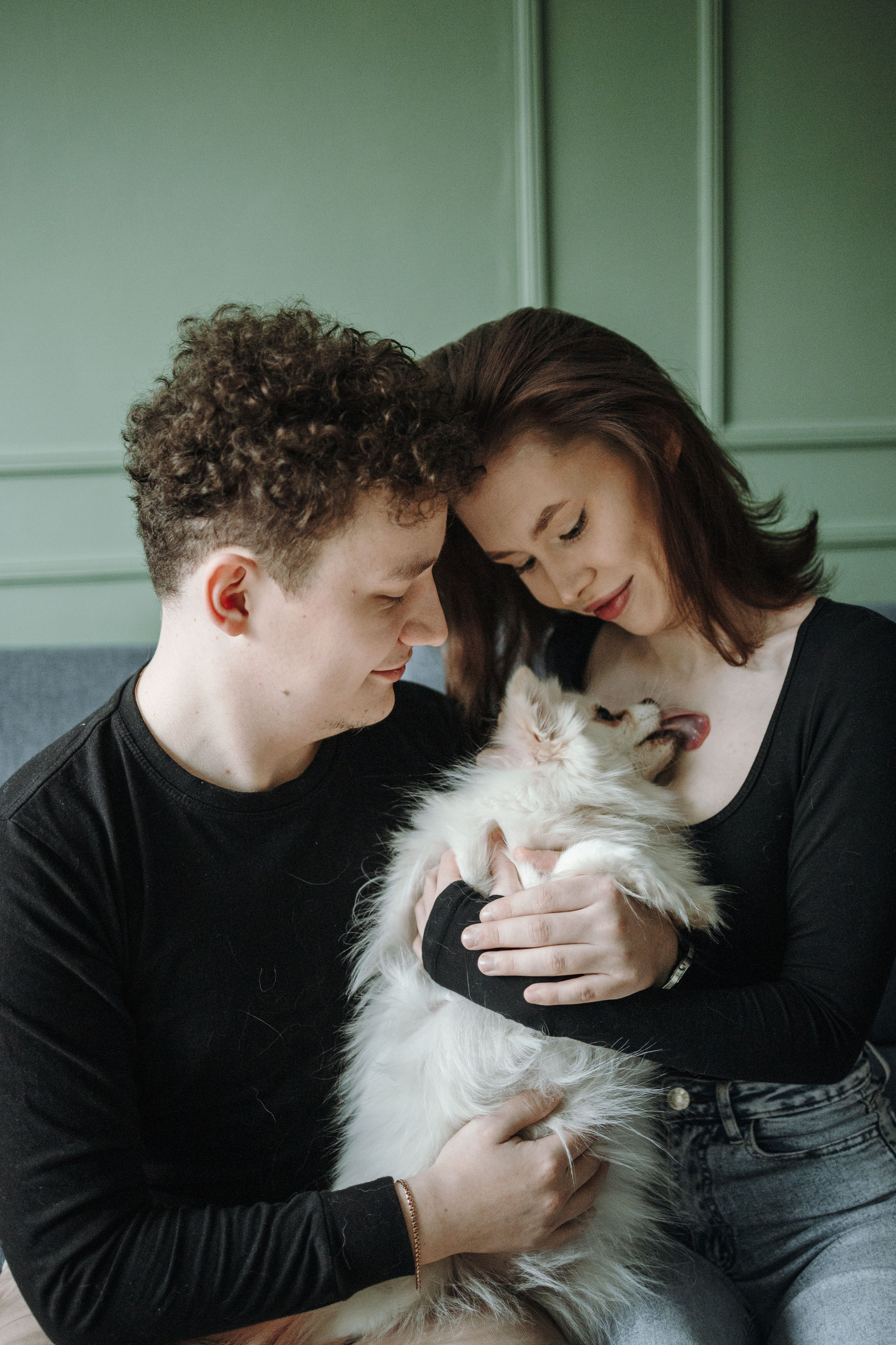 Шпиц Мася и ее семья