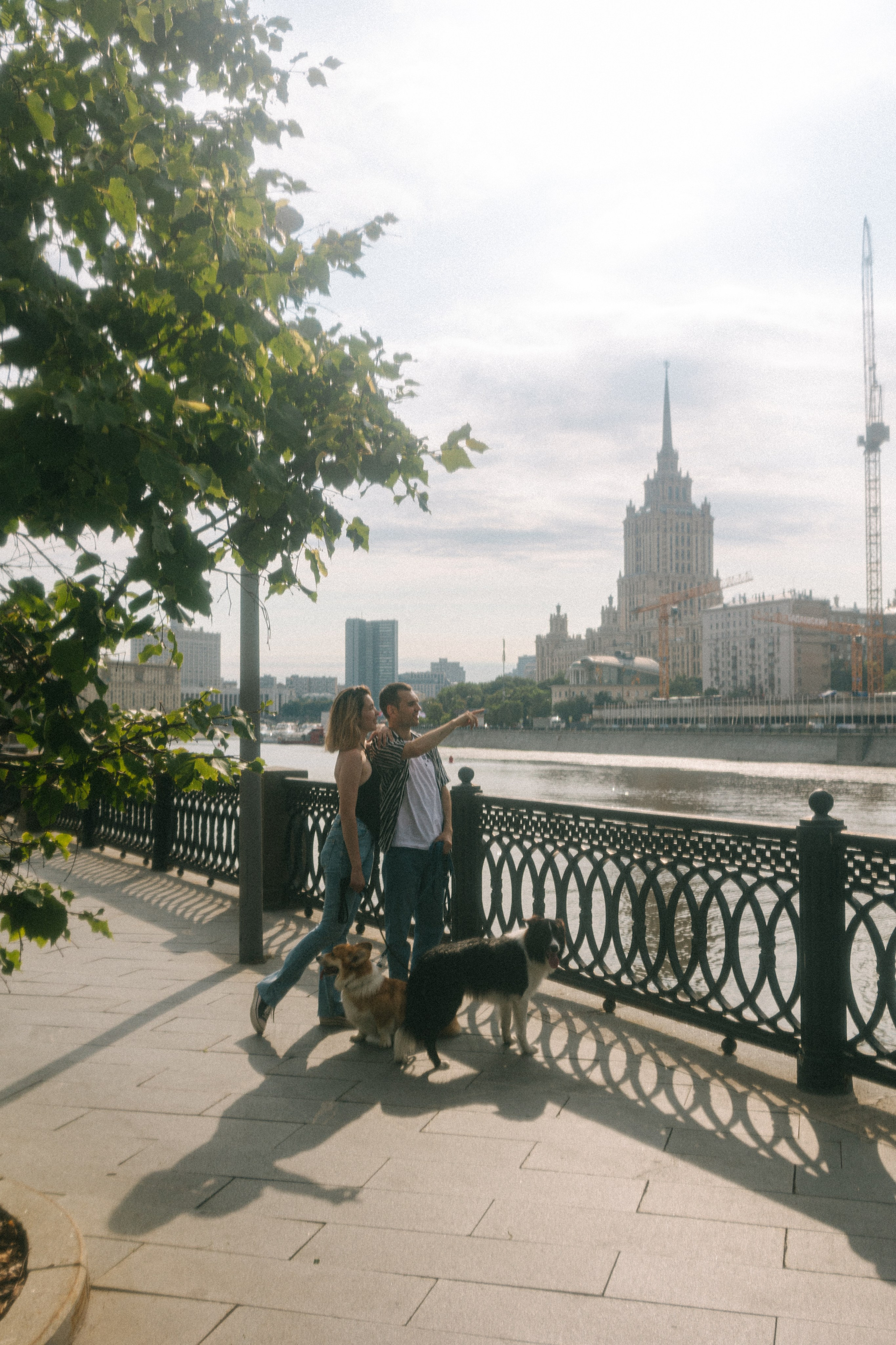 Брюс, Вейв и их ро. Фотораф — анималист Мария Шистка