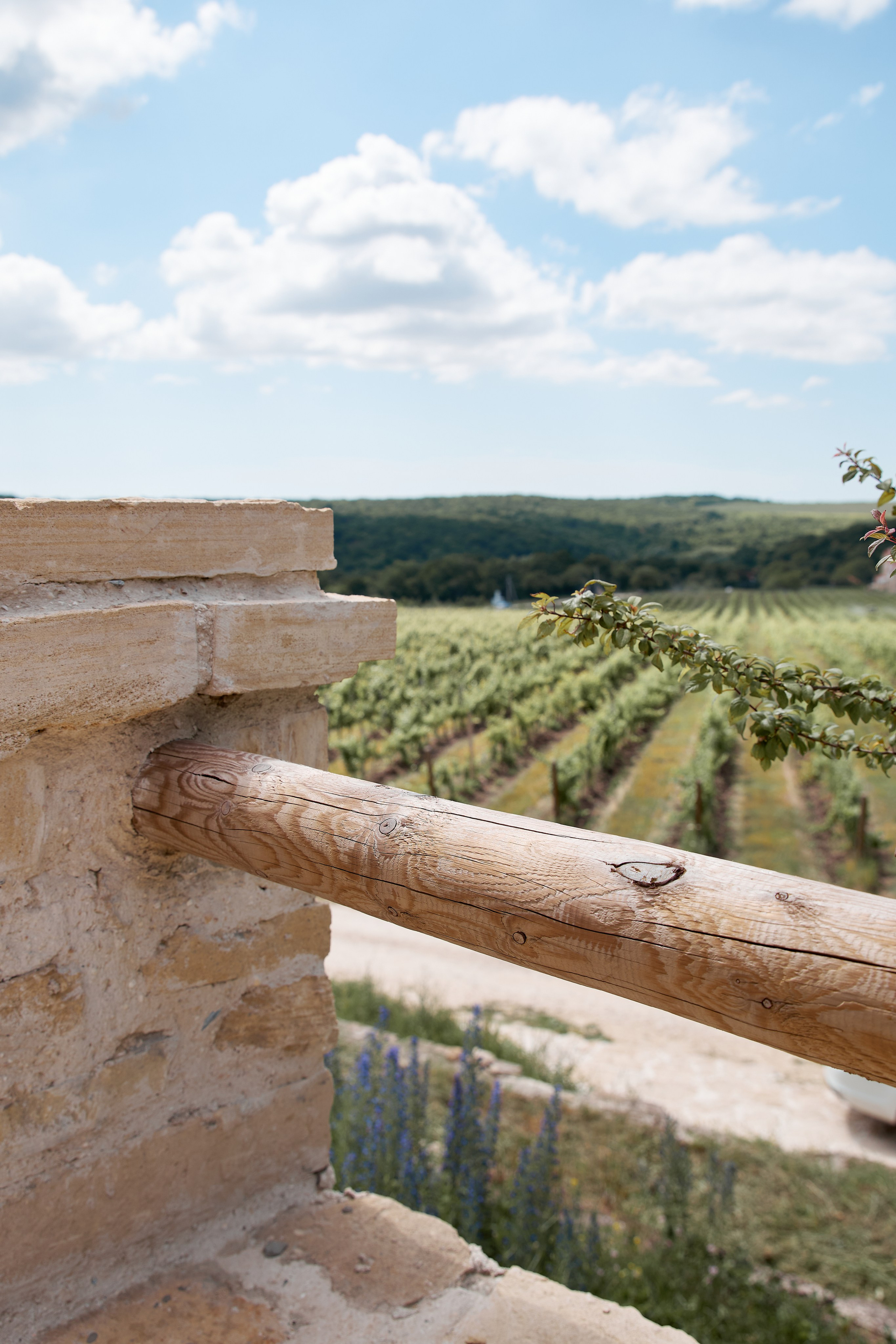 ОДНА ВИНОДЕЛЬНЯ. Репортажный и мужской фотограф в Краснодаре. Фотограф в Краснодаре
