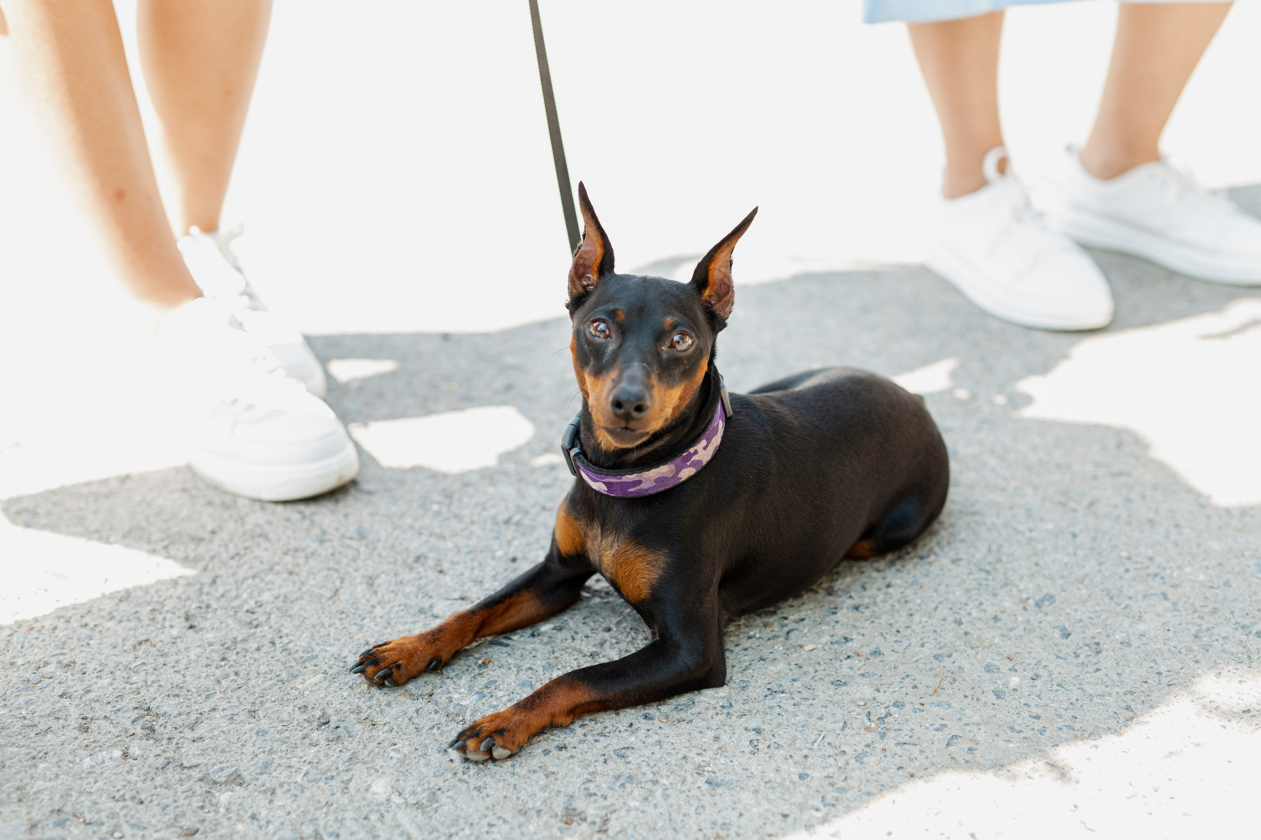Дима+Кристина. Индивидуальные и семейные съёмки в Уфа Маргарита Истомина