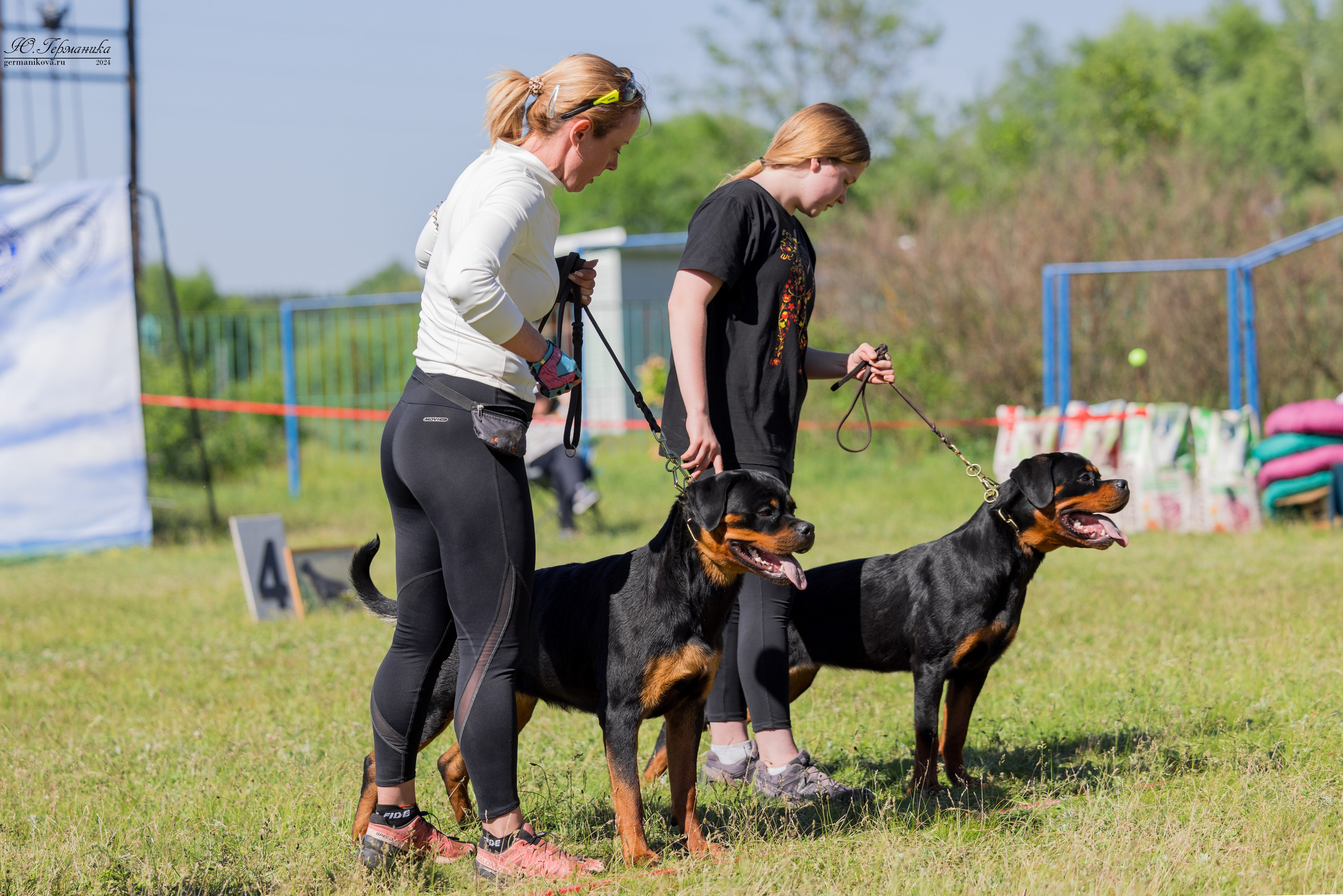 Воронеж моно ротвейлеров 25-26.05.2024. Фотограф-анималист Юлия Германика