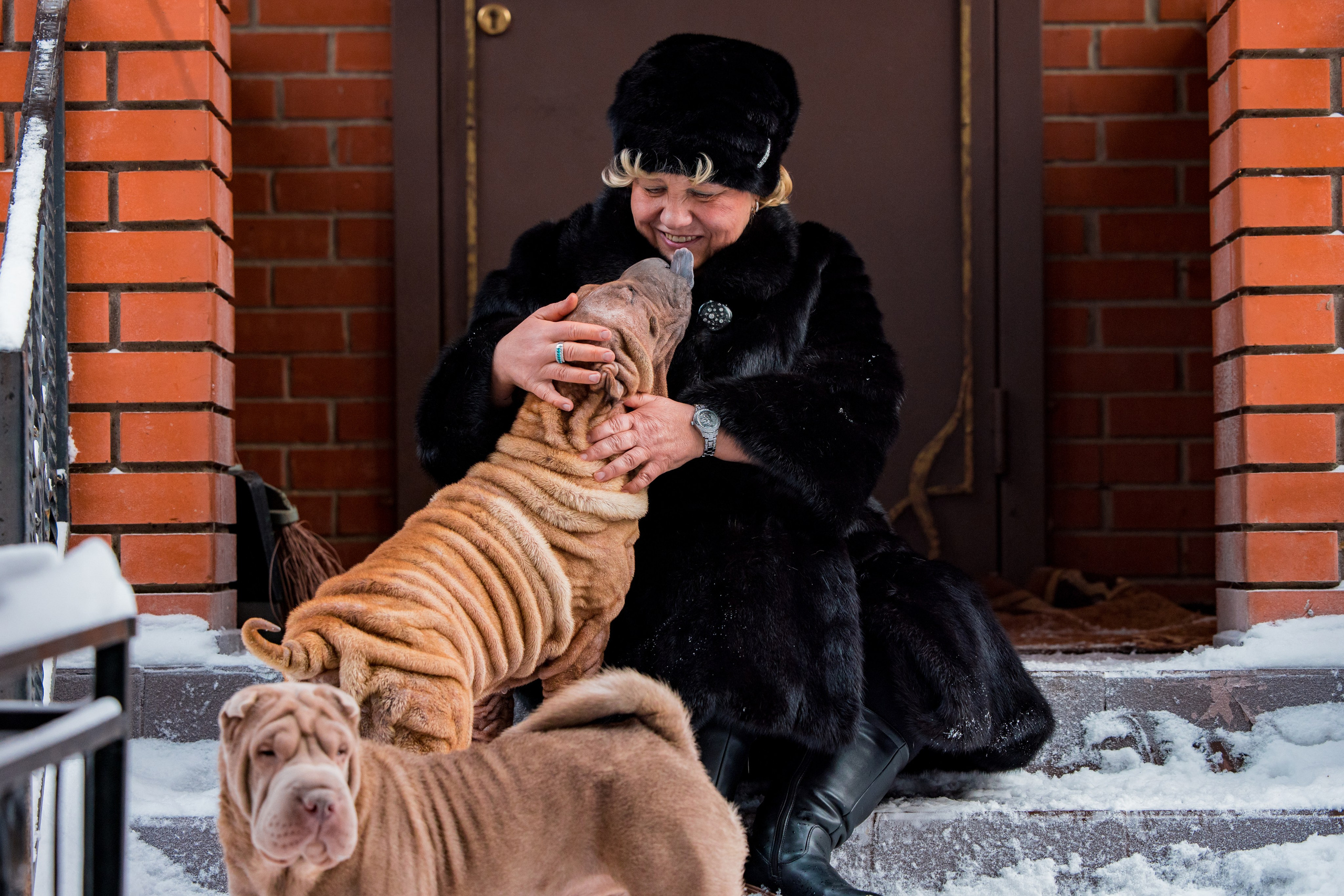 В гостях у шарпеев 16.01.2024. Фотограф-анималист Юлия Германика