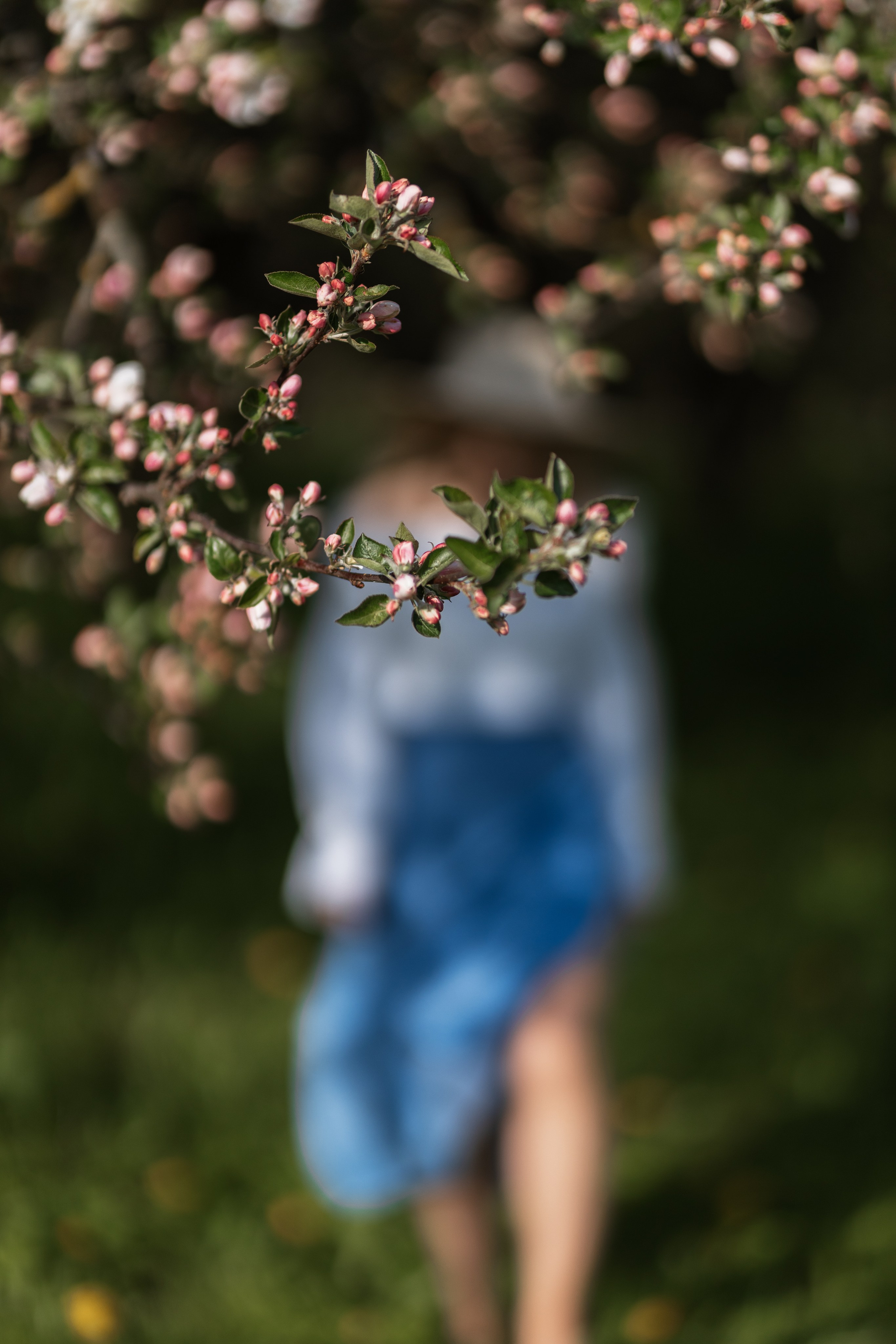ЛОШИЦКИЙ ПАРК. Cheta Kovalevsky фотографы