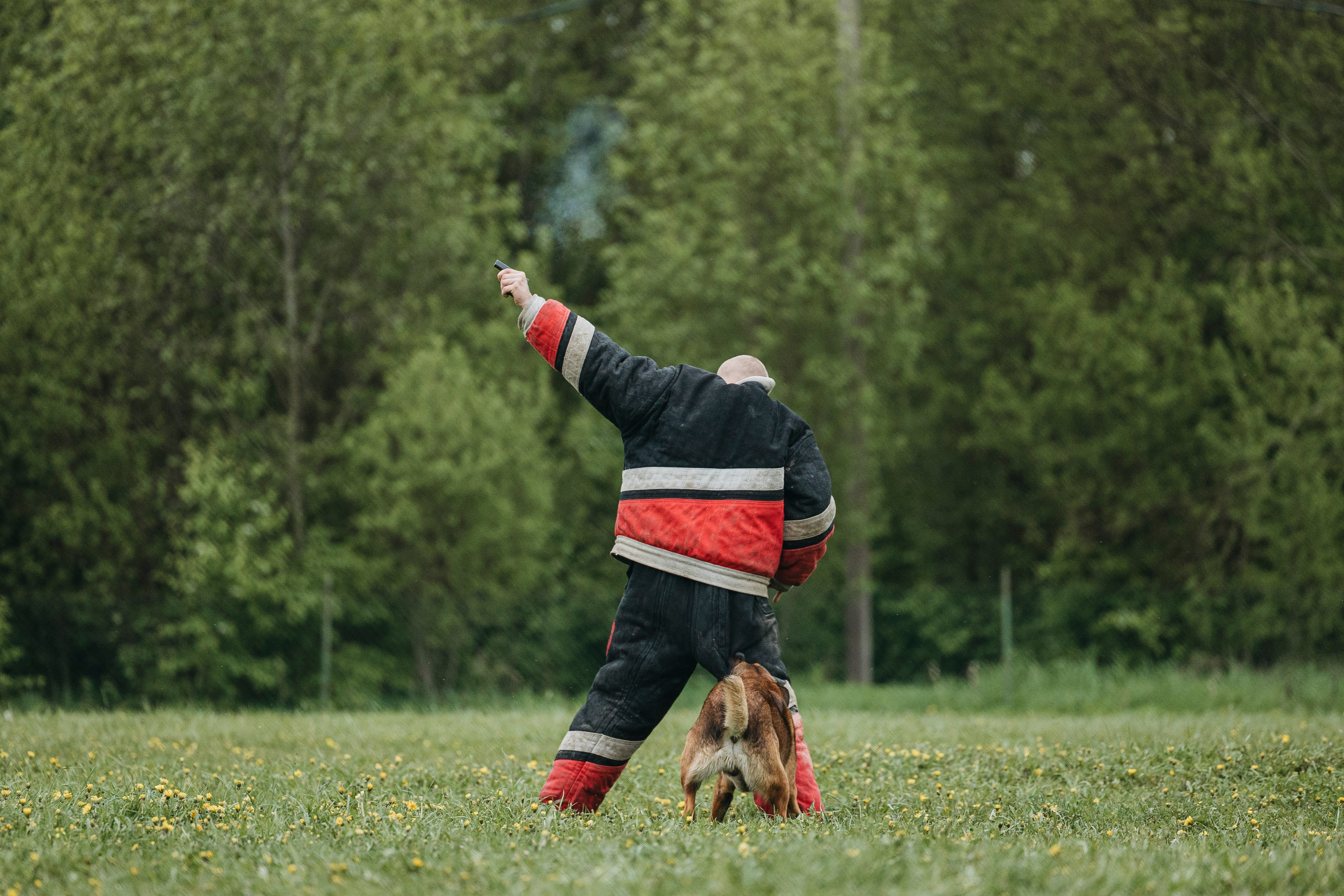 26.05.25 г. Пушкин квалификационные соревнования. Фотограф-анималист Анна Маринич