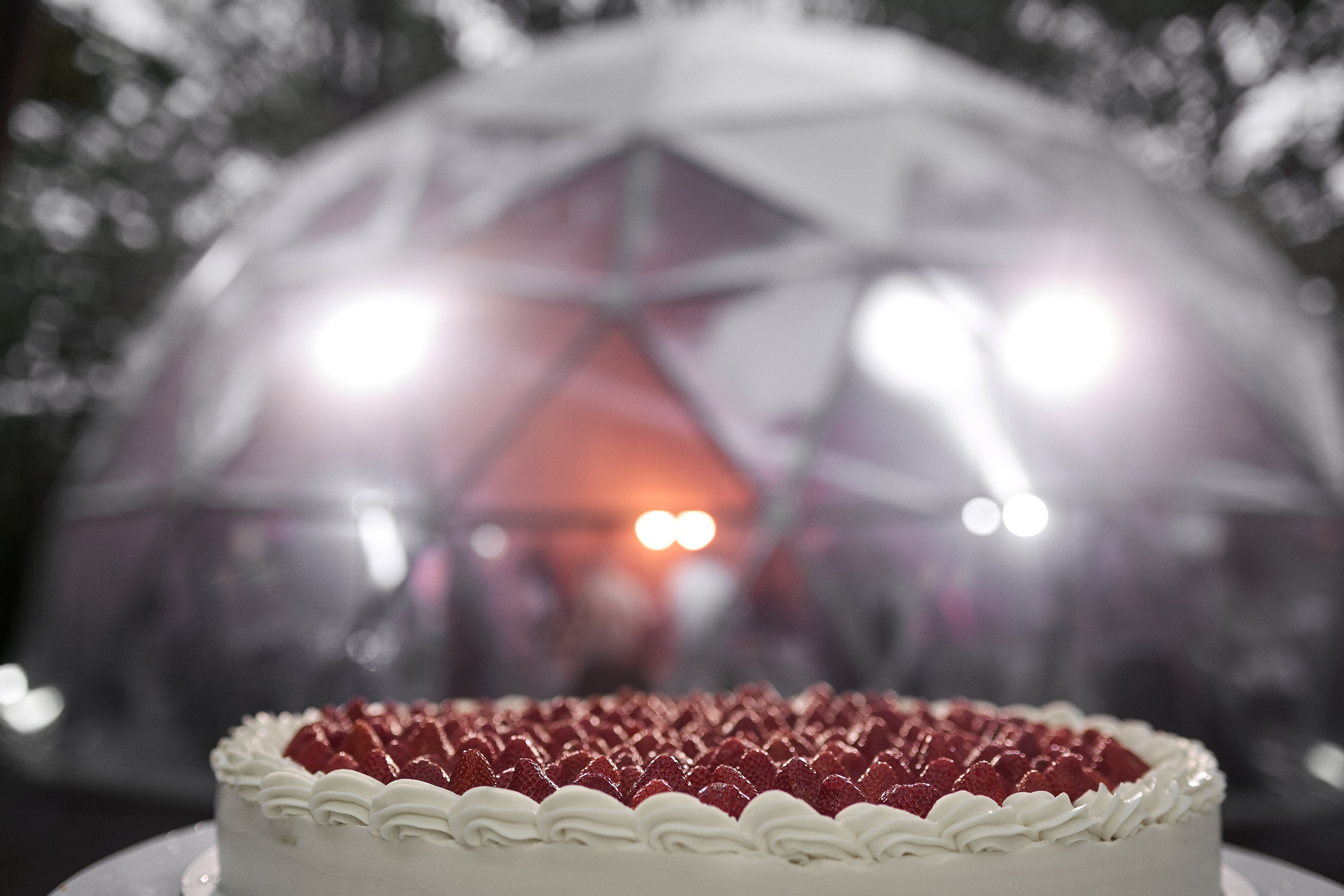 Crystal Swirl. Студия декора НикитинаДекор — оформление мероприятий в Ульяновске. Профессиональное создание эксклюзивных декораций