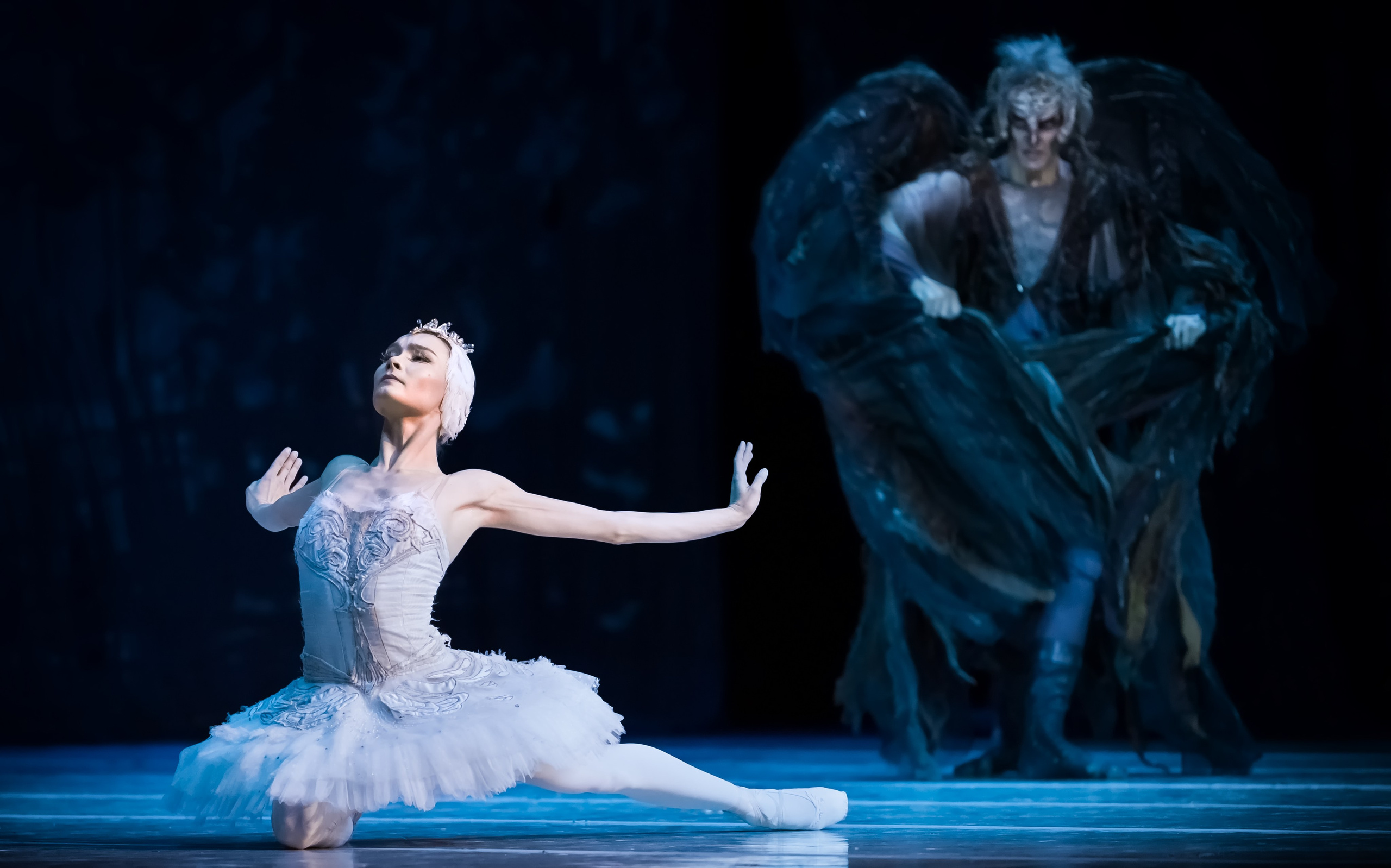 Лебединое озеро. Балет Наталии Касаткиной и Владимира Василёва. Балетный фотограф Москва Майоров Николай