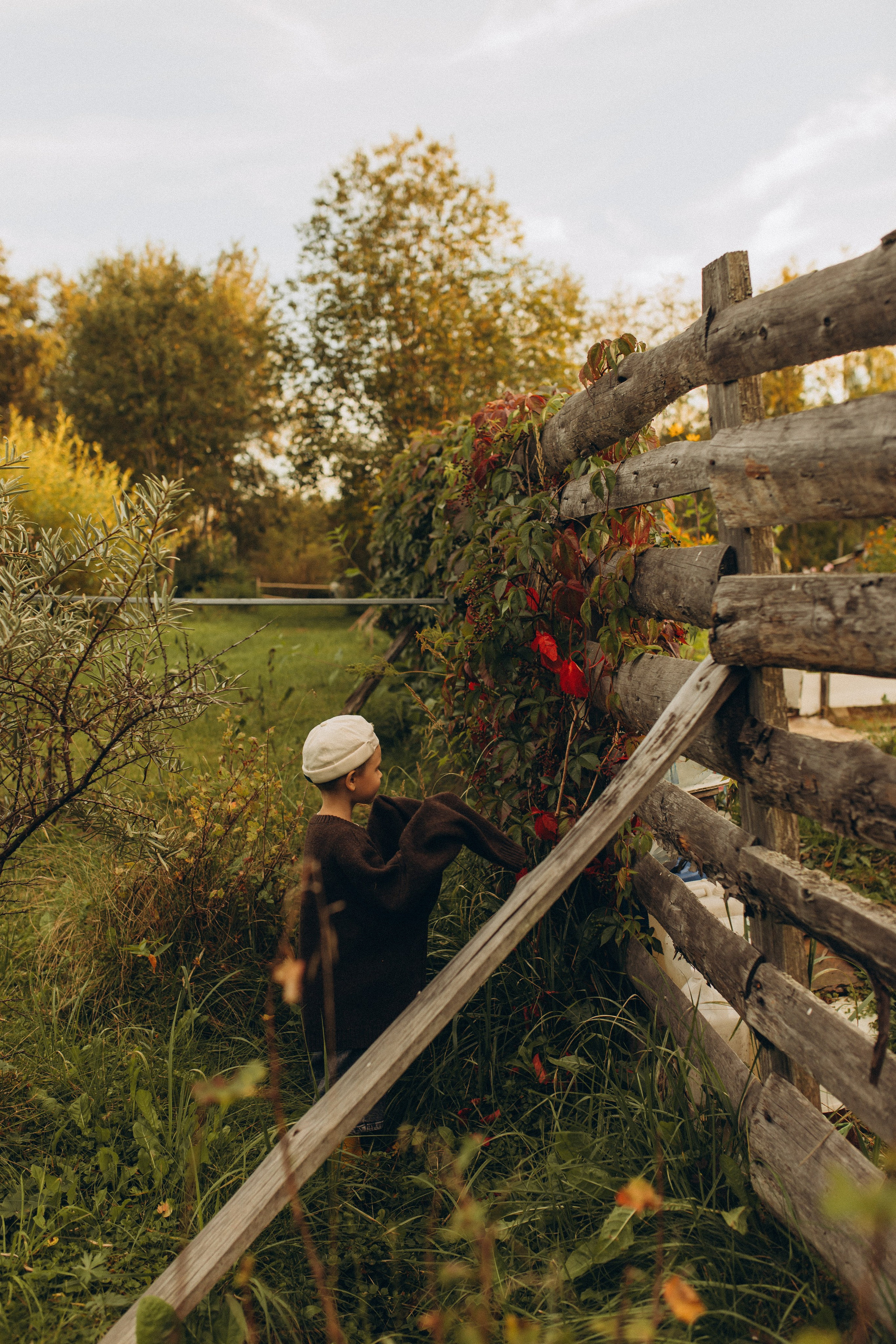 Алена и Мирон. Услуги