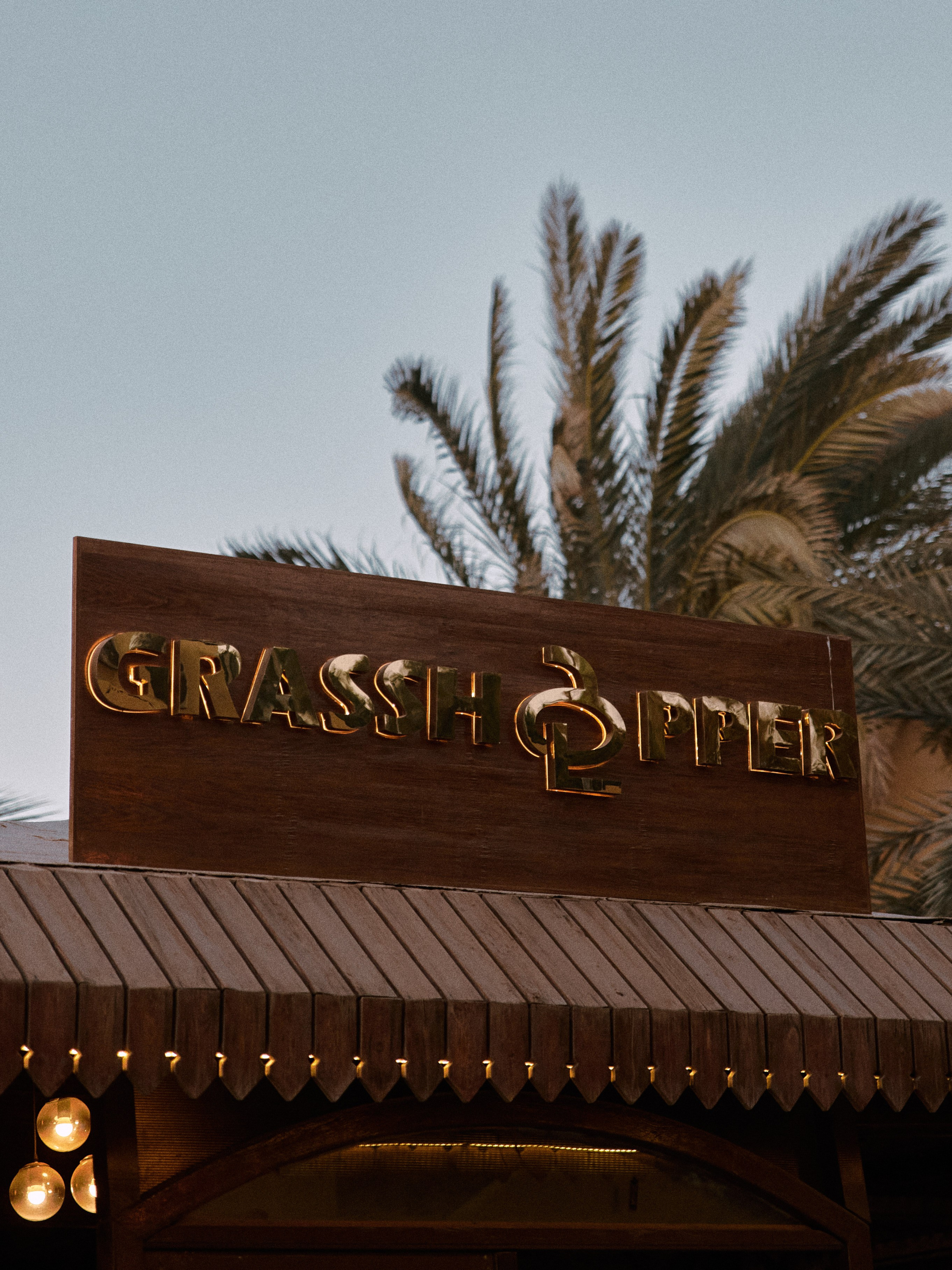 Природа сквозь. Jorgis Talè — photographer, kind person, teacher of arts and other mag