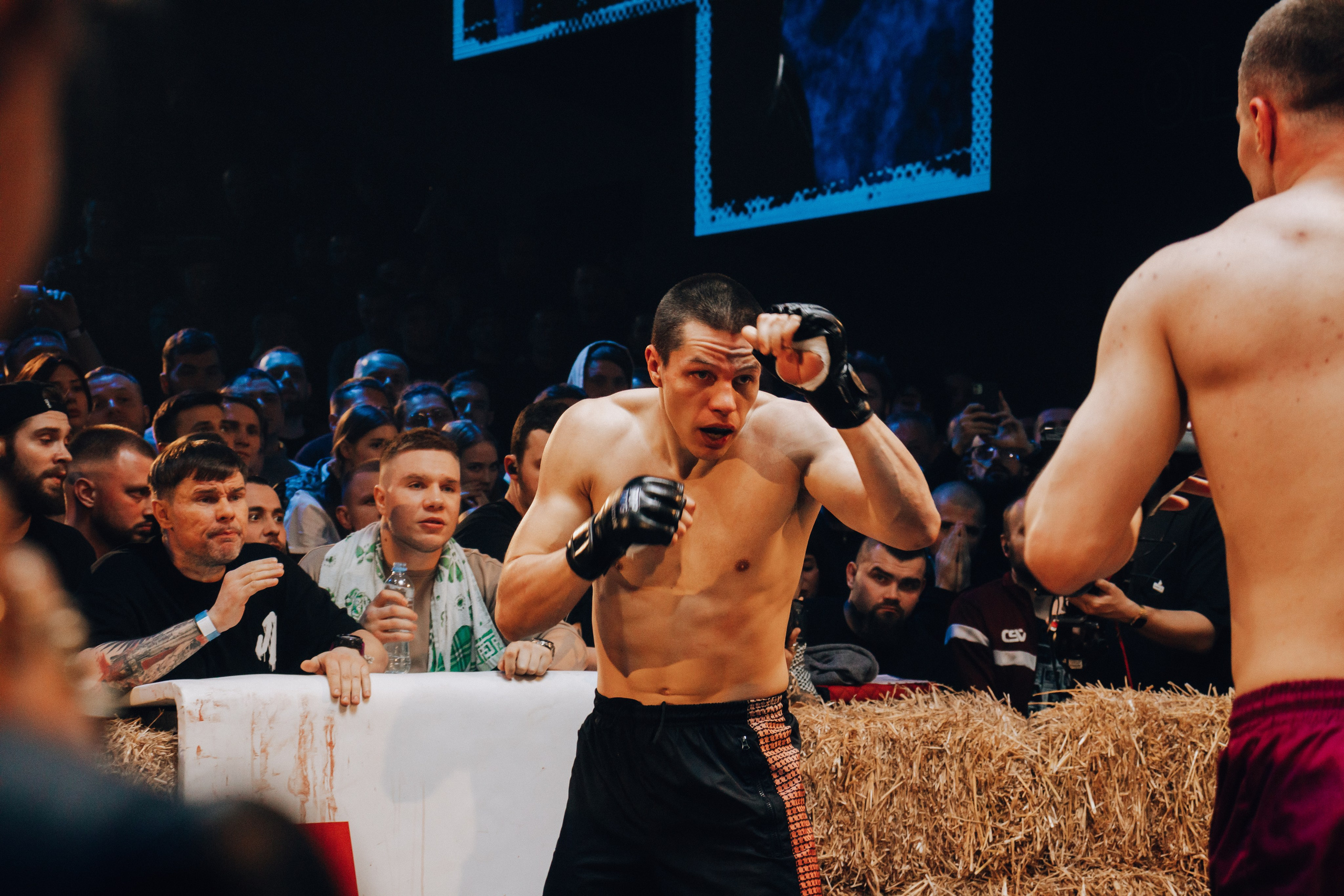 Кулачные бои TopDog. Анастасия Тен