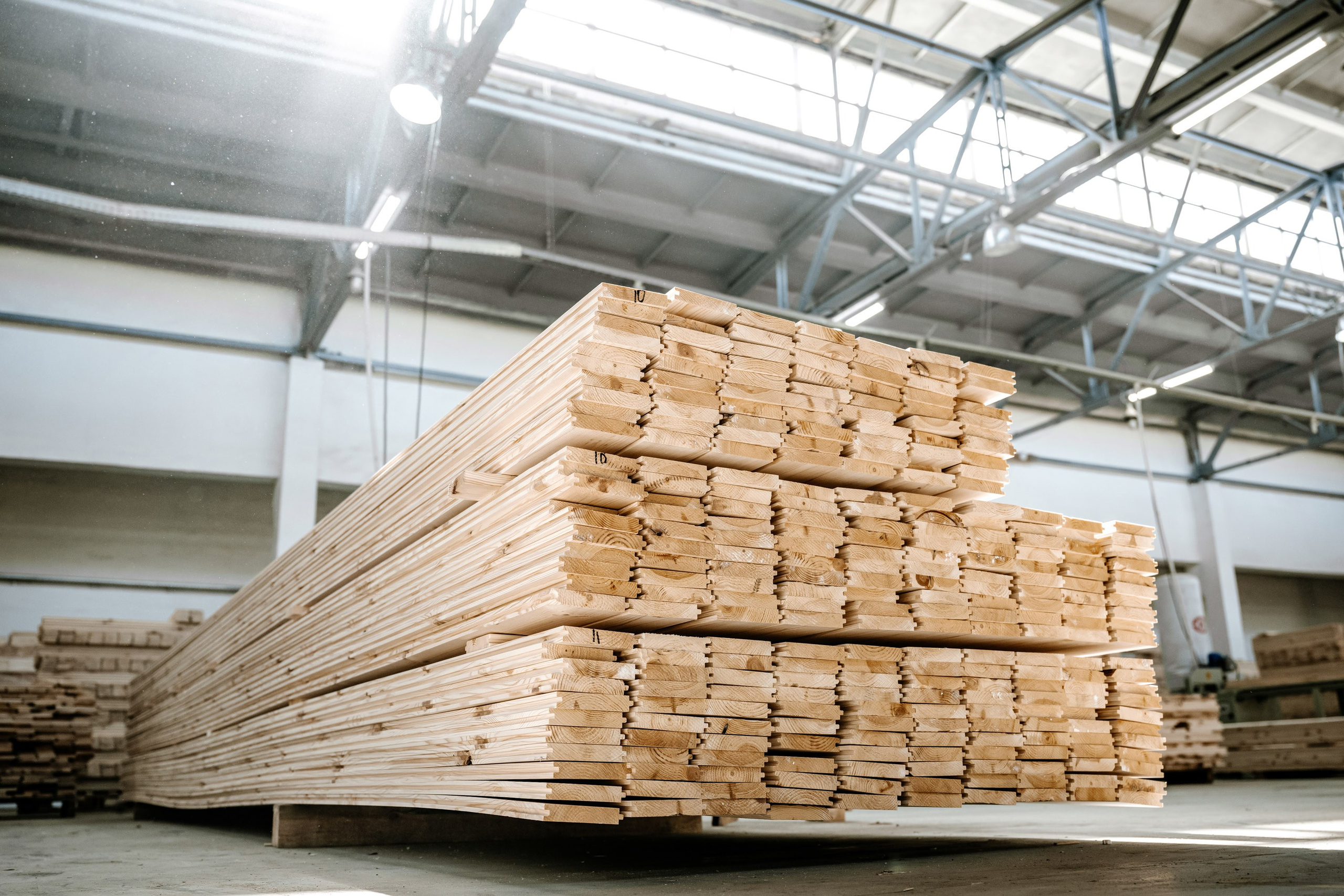 Предприятие. Максим Комаров — Профессиональный фотограф