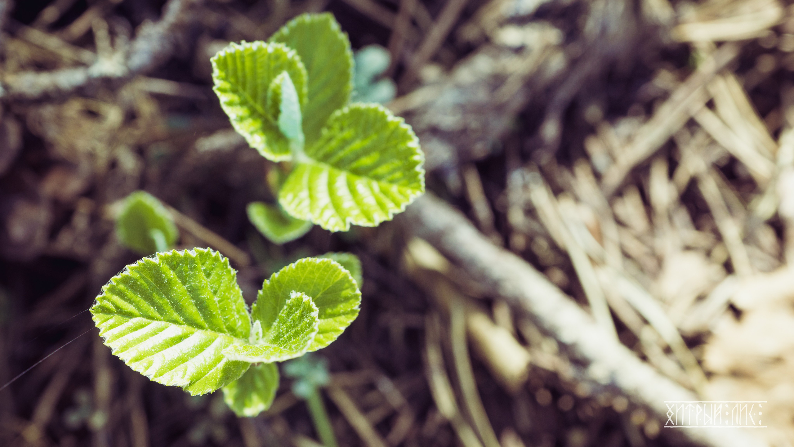 Кипр. Фотограф-путешественник Самойлов Максим «Sly Fox»
