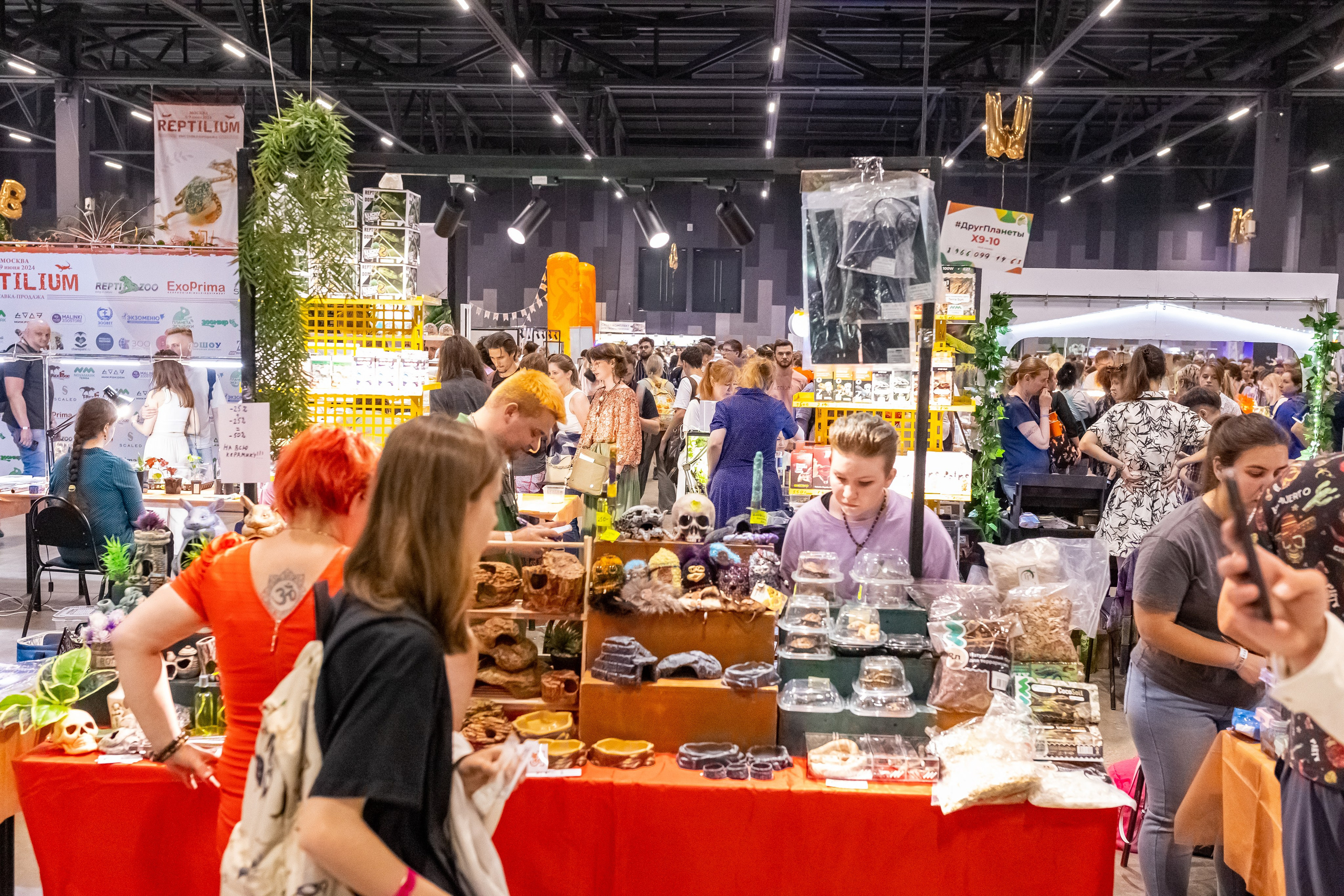 Рептилиум 2024. Александра Куликова фотограф, Москва