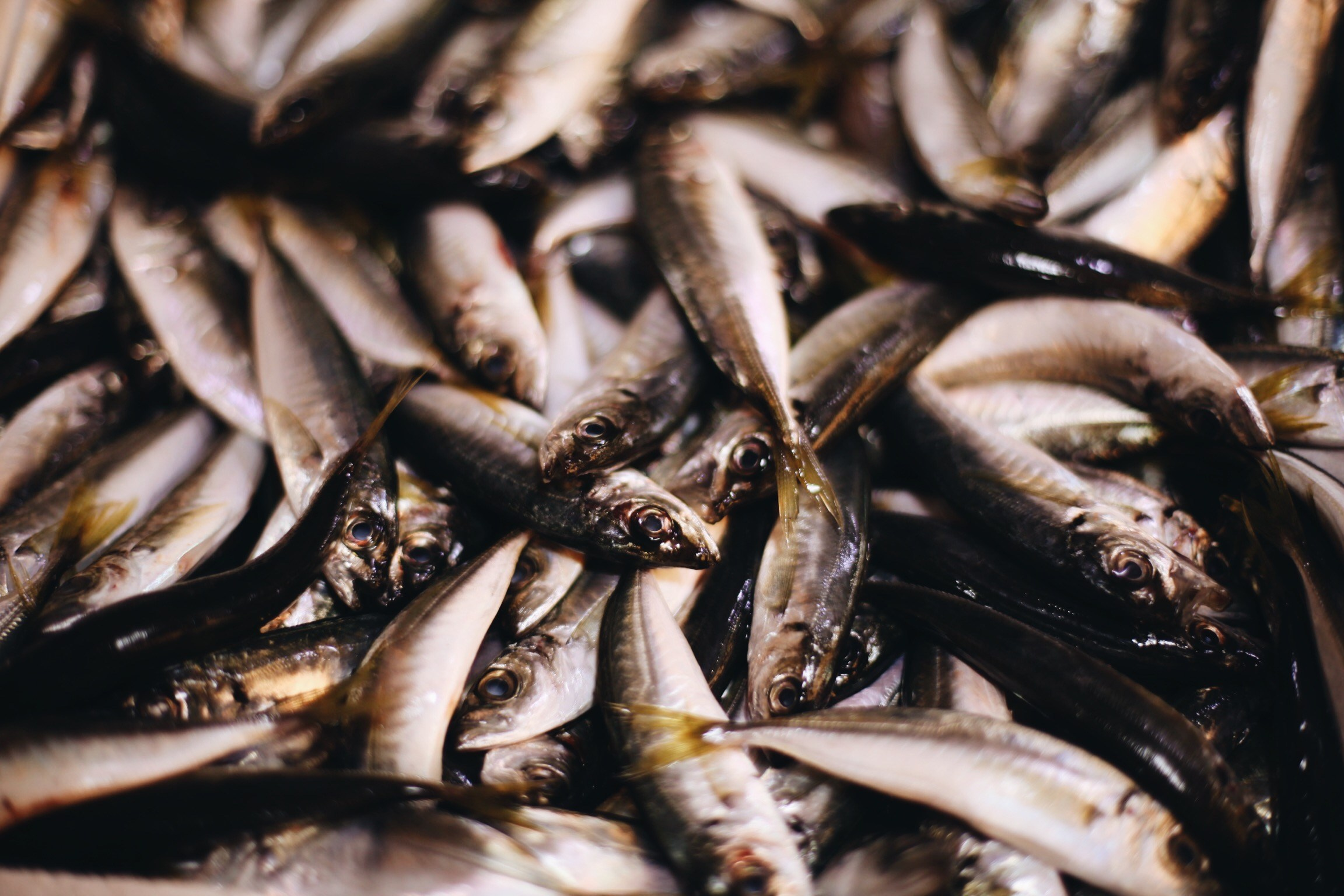 Волна. Ксения Плотникова