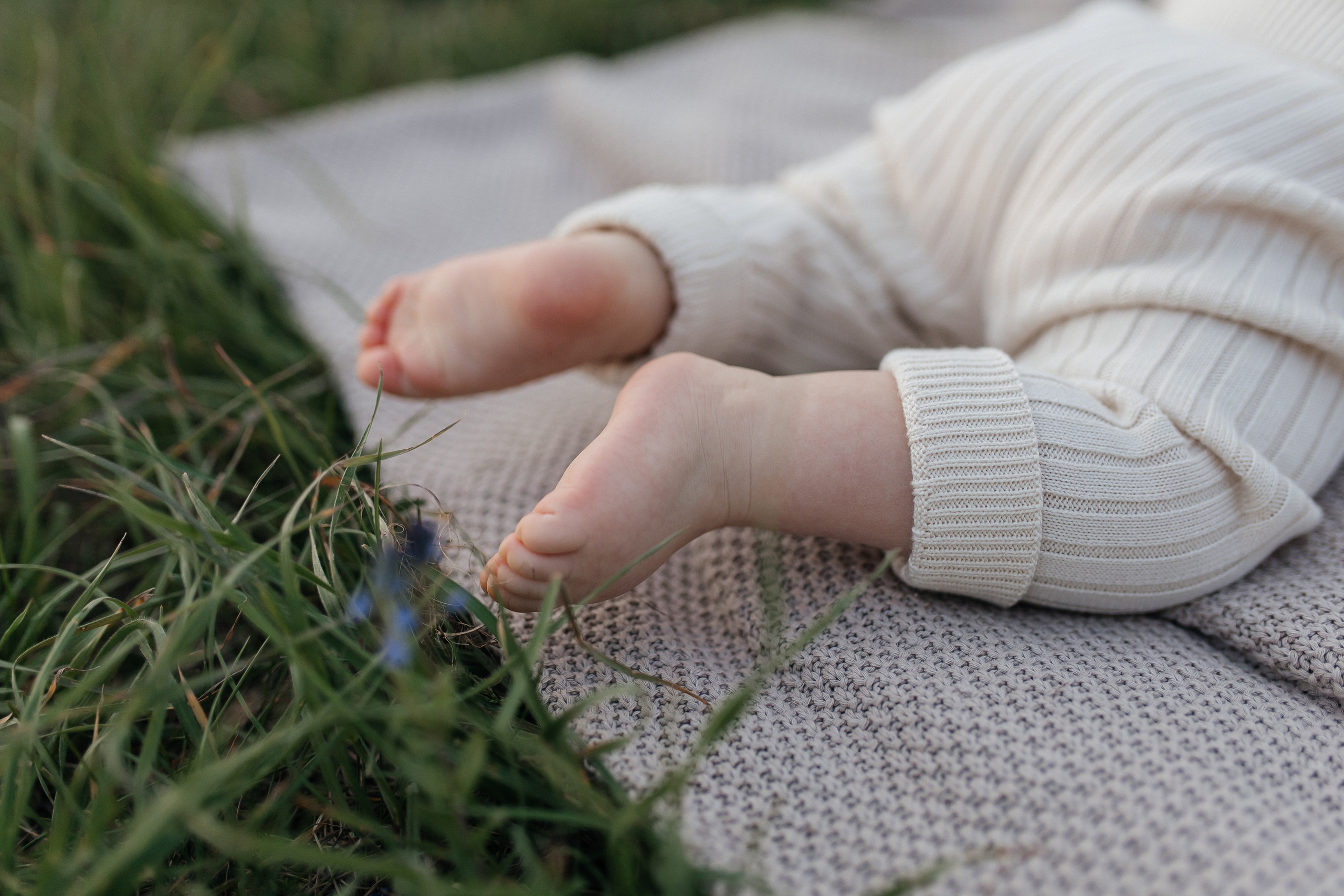 Поле, лето и любовь. Семейный и свадебный фотограф в Тамбове Ксения Плотникова