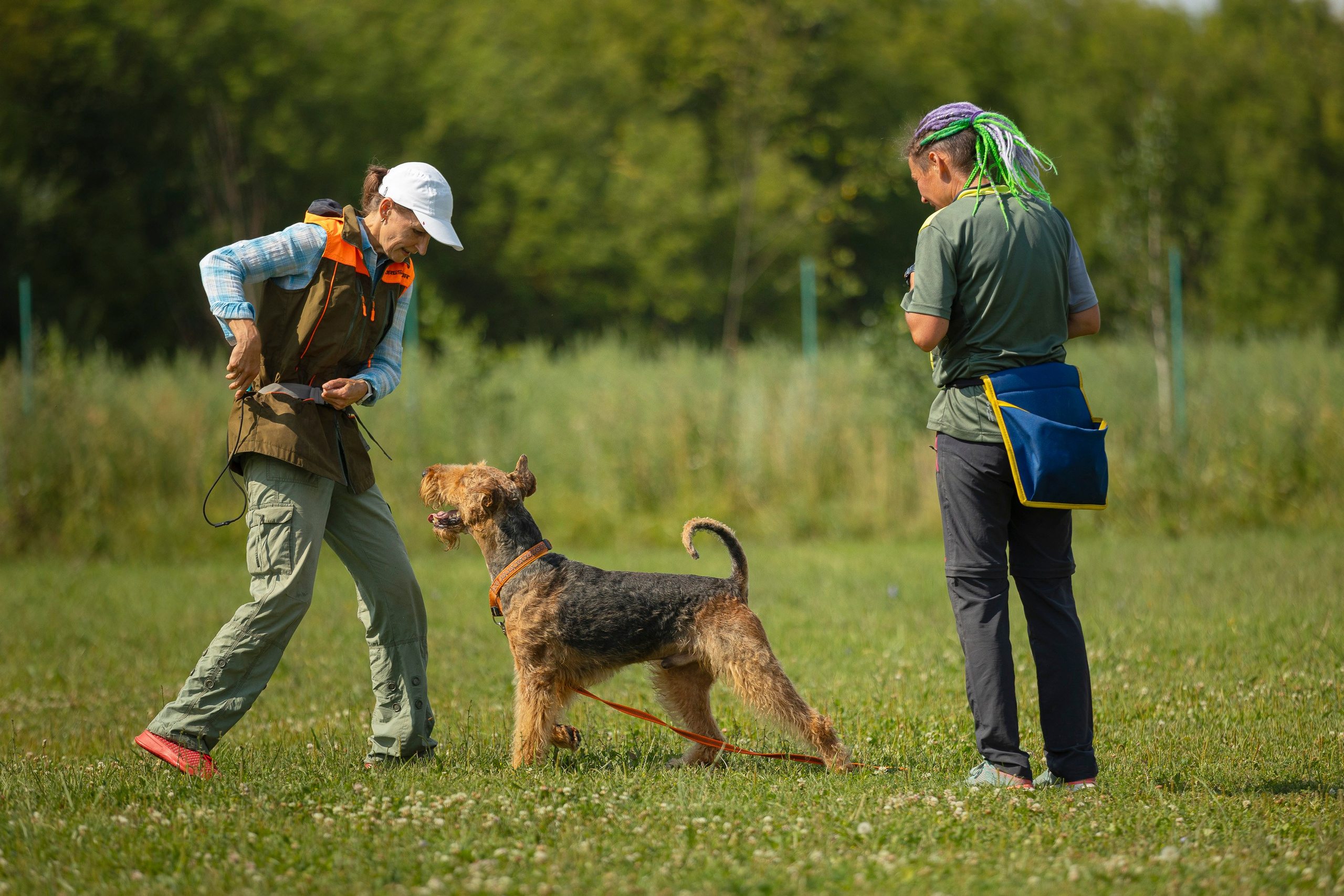 ЗКС. Фотограф анималист, семейный фотограф, фотограф собак Комратова Мария. г. Москва