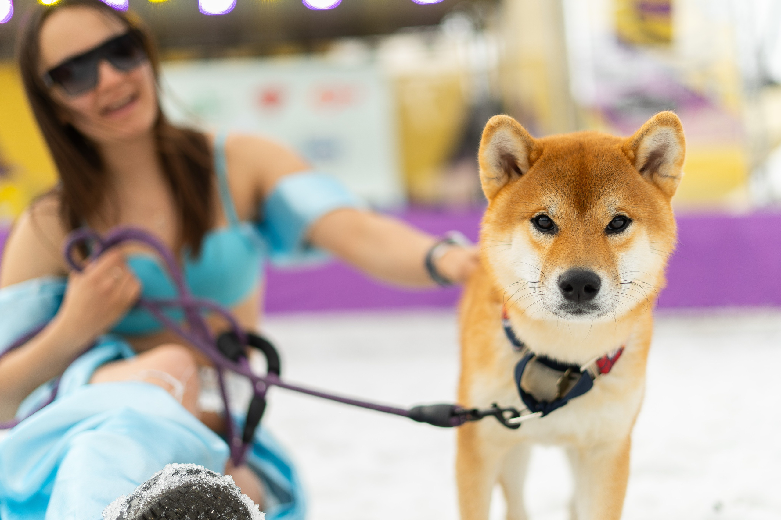 Грелка 18.04.24. Анастасия Паршукова — фотограф Шерегеш Новосибирск