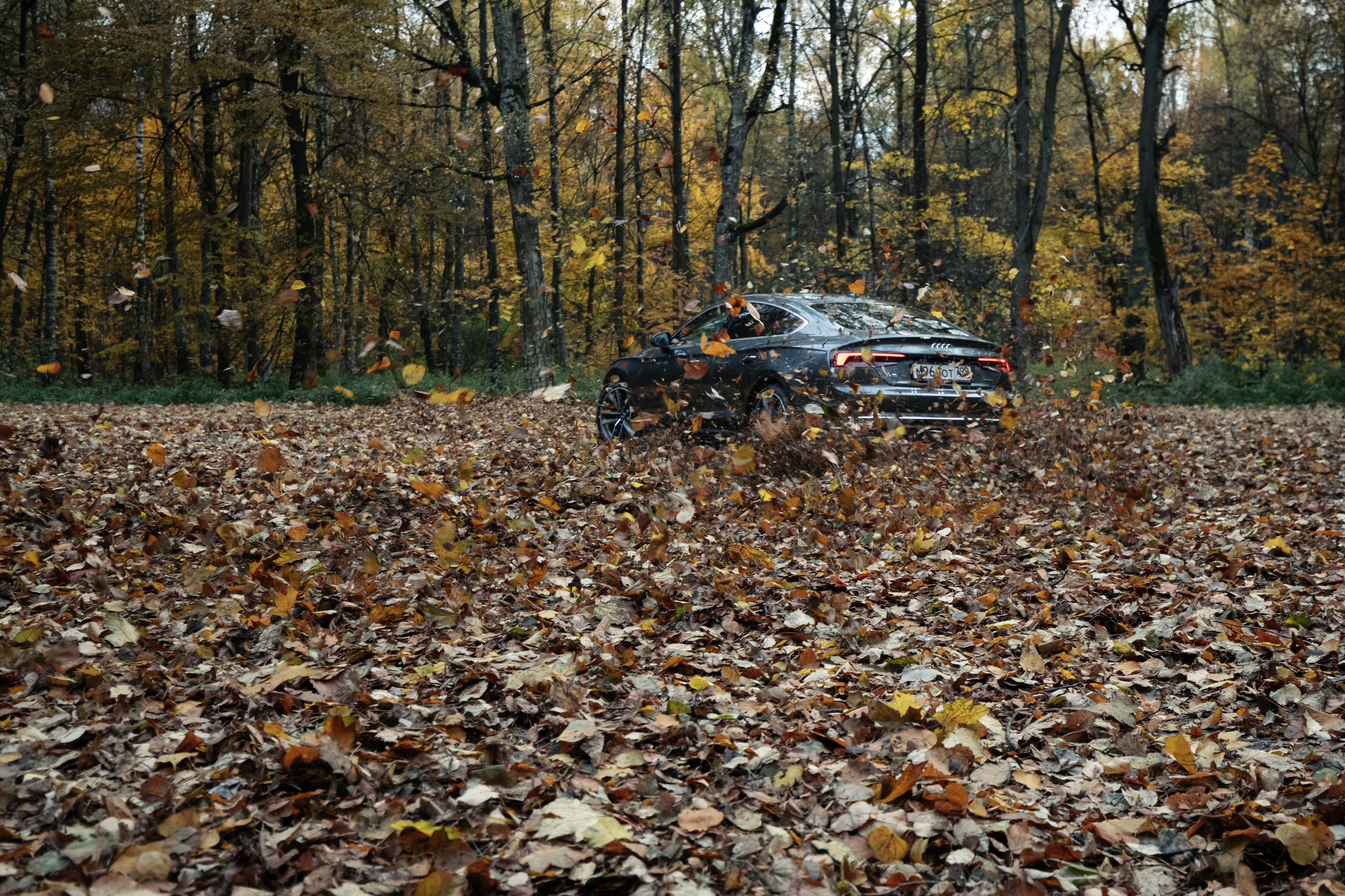 AUDI. Вадим Ветров