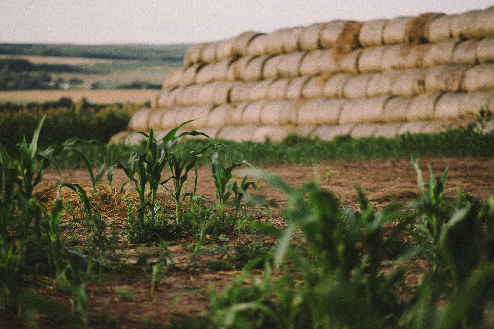 БОЛЬШАЯ СЕМЬЯ. Фотограф Андрей Копий. Фотосъёмка в Нижнем Новгороде и Москве