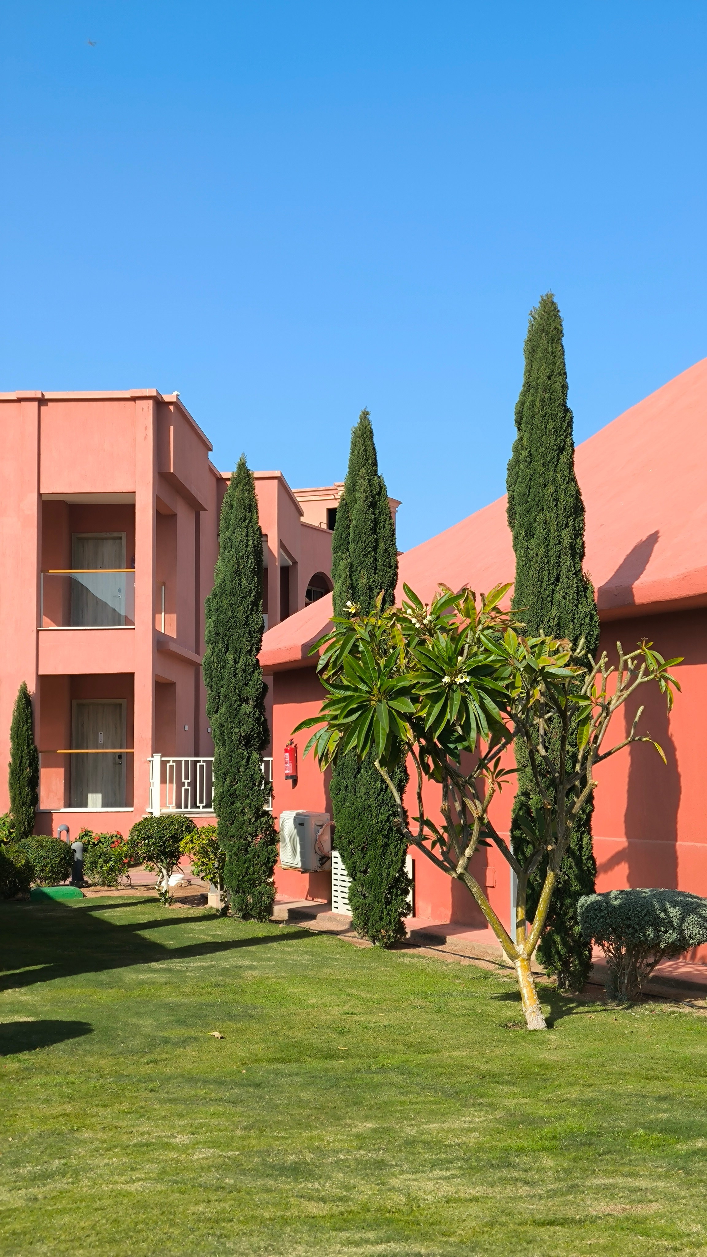 Шарм-Эль-Шейх. Светлана Иванова - профессиональный фотограф