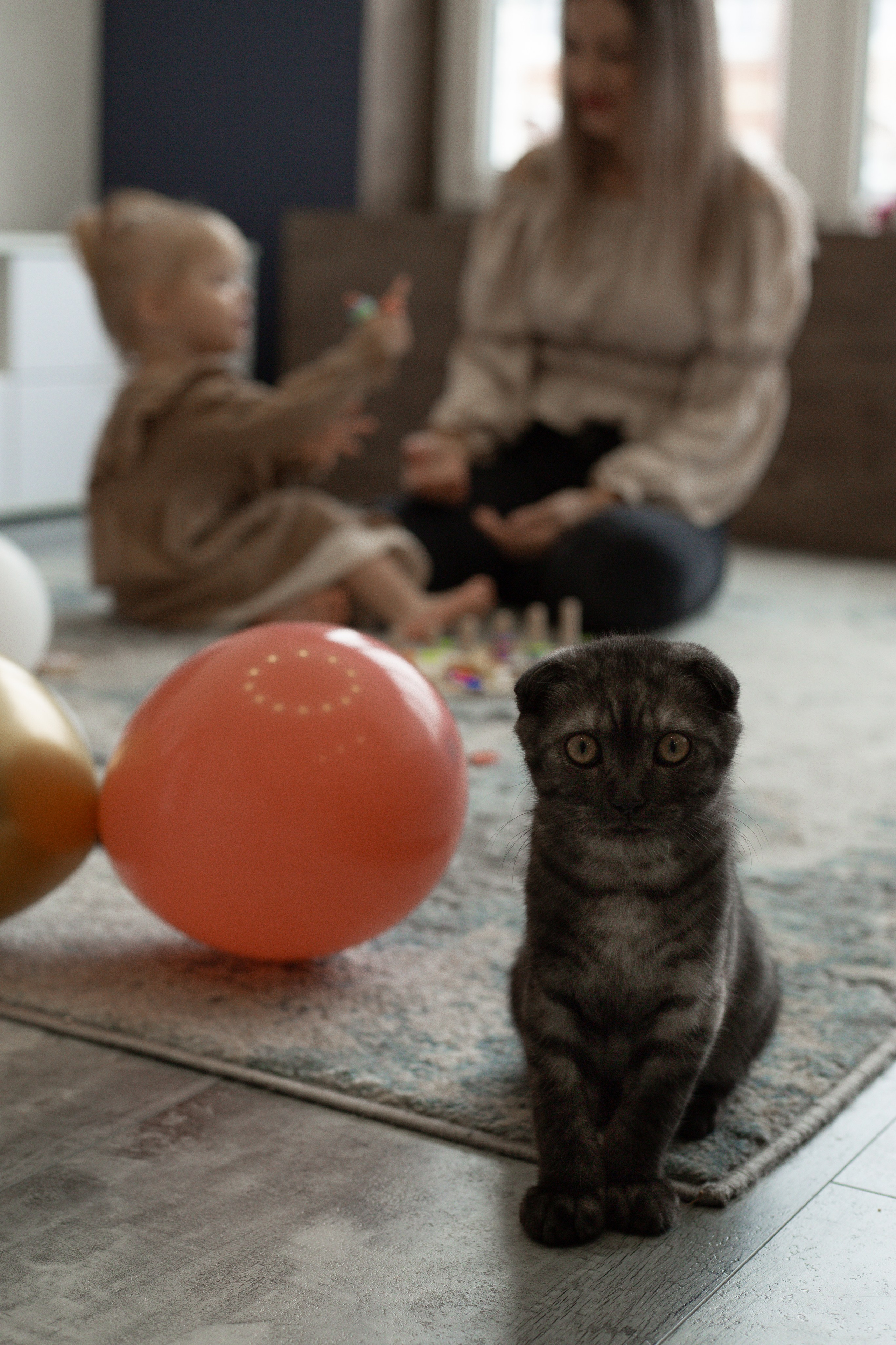 Виталина дома. Фотограф в Новосибирске Краснова Евгения