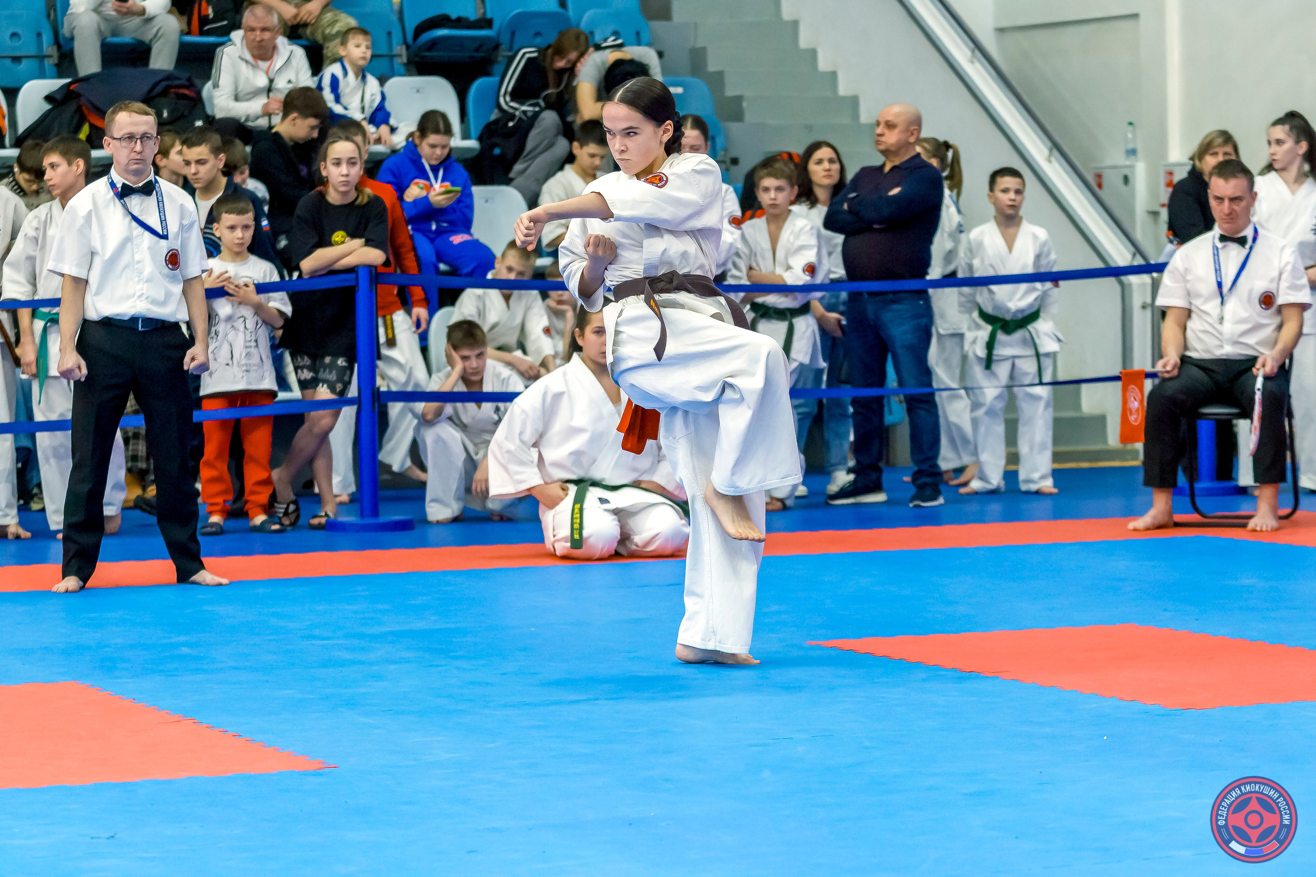 Международный турнир по киокушин «Открытый кубок Seiken». Репортажная съемка в Москве и области. Анималистика