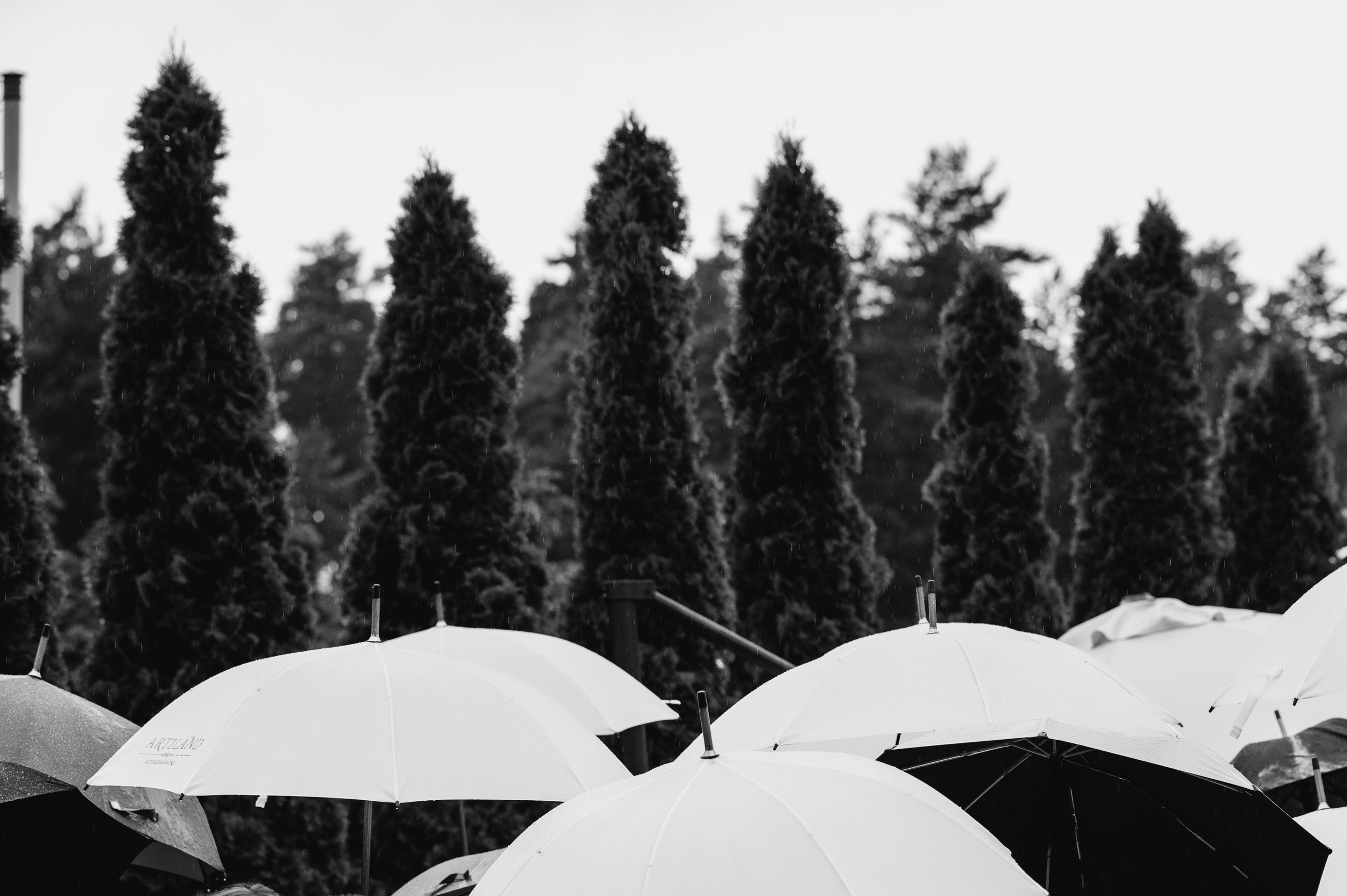 Свадьба Артем и Мария. Свадебный фотограф в Москве и по всему Миру Андрей Медведников