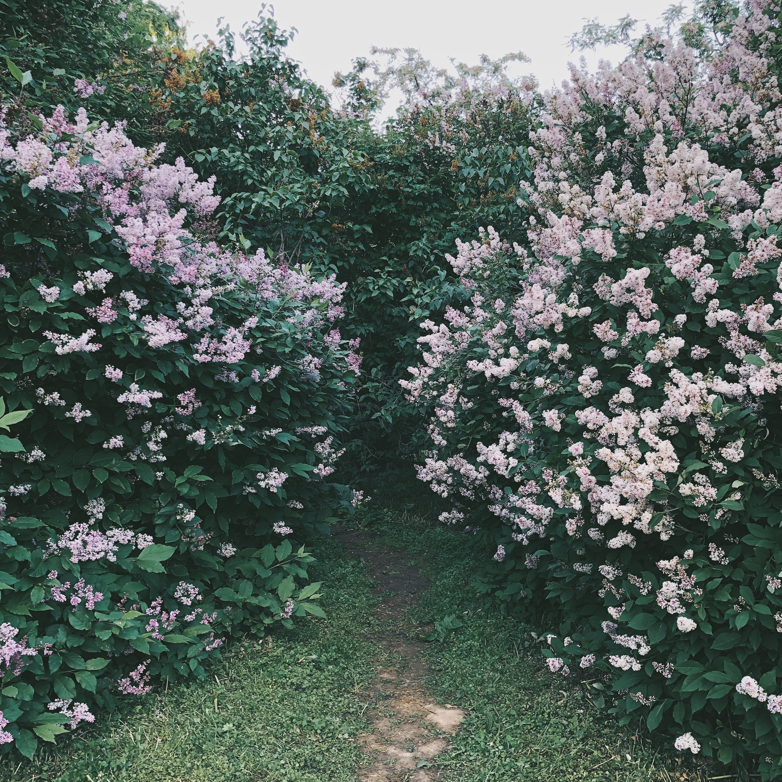 Визуальный дневник. Портретный фотограф в Москве Гахраманова Екатерина