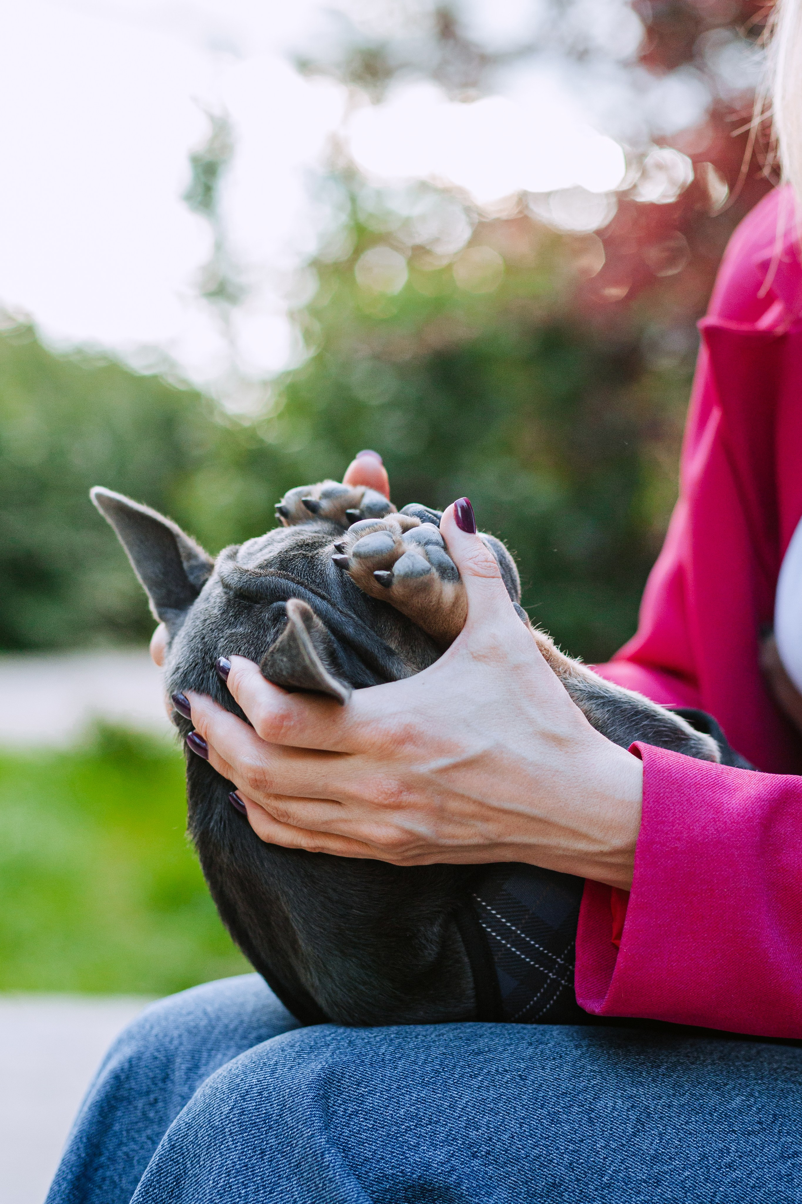 Даша и Мишель. Фотограф-анималист Татьяна Степанова