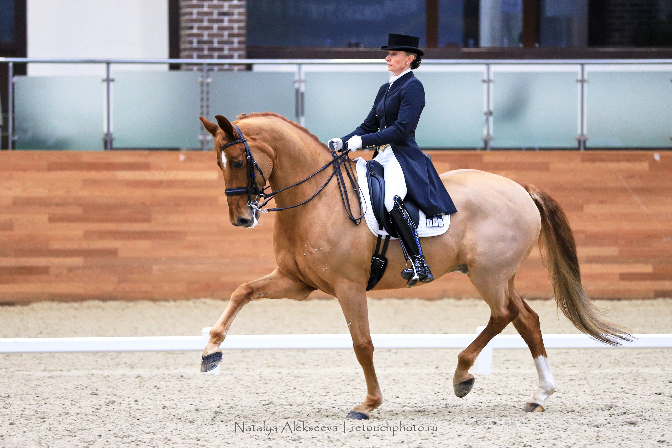 CDI-3*/2*/Y/J/CH, Maxima Stables | 11'2019. Репортажный фотограф и ретушер в Москве Наталья Алексеева