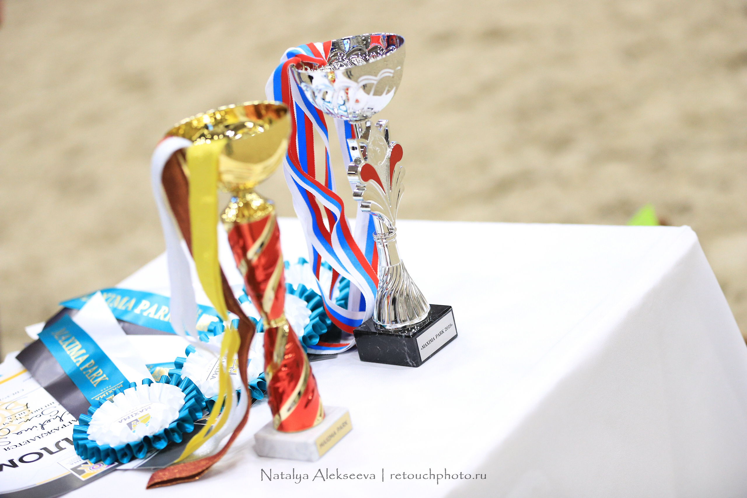 CDI-3*/2*/Y/J/CH, Maxima Stables | 11'2019. Репортажный фотограф и ретушер в Москве Наталья Алексеева