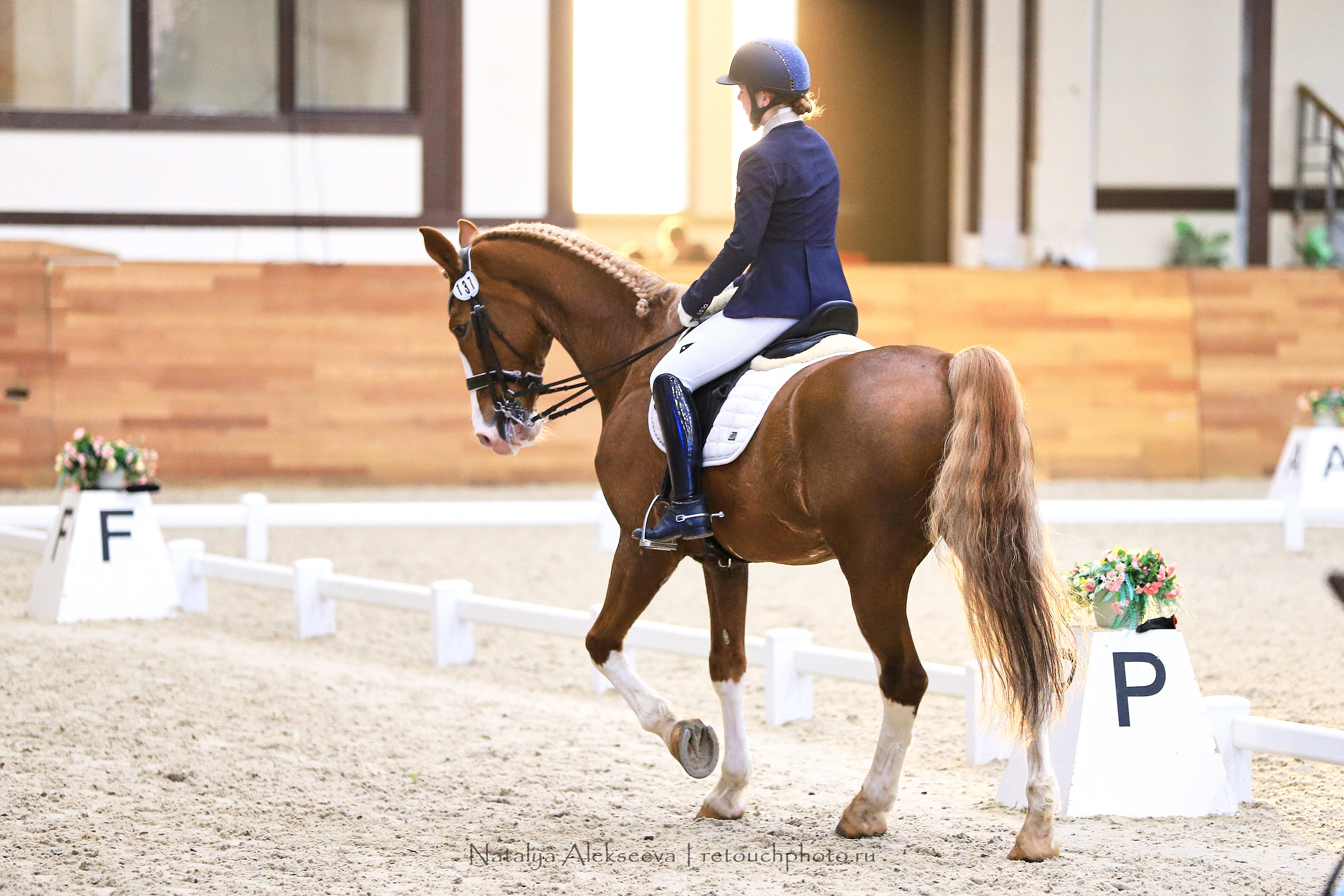 CDI-3*/2*/Y/J/CH, Maxima Stables | 11'2019. Репортажный фотограф и ретушер в Москве Наталья Алексеева
