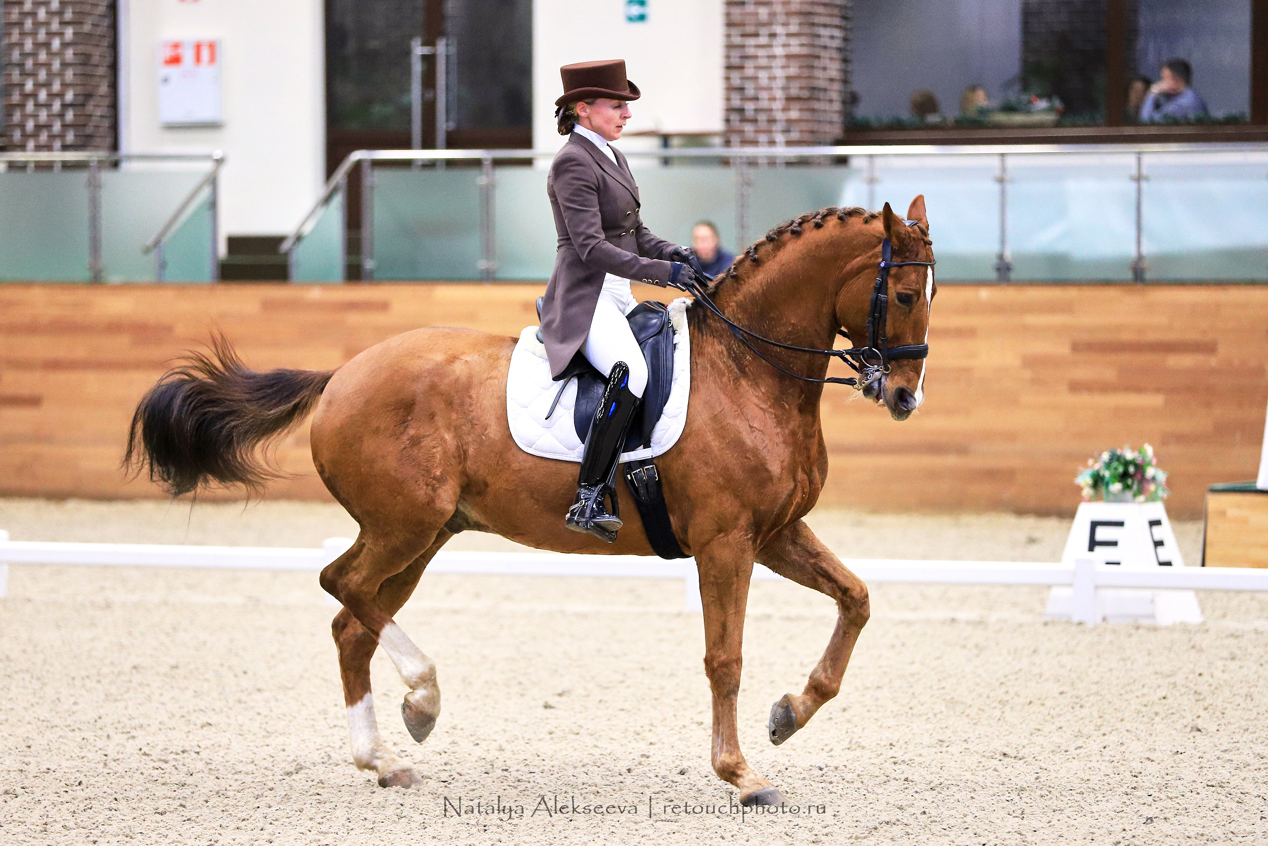 CDI-3*/2*/Y/J/CH, Maxima Stables | 11'2019. Репортажный фотограф и ретушер в Москве Наталья Алексеева