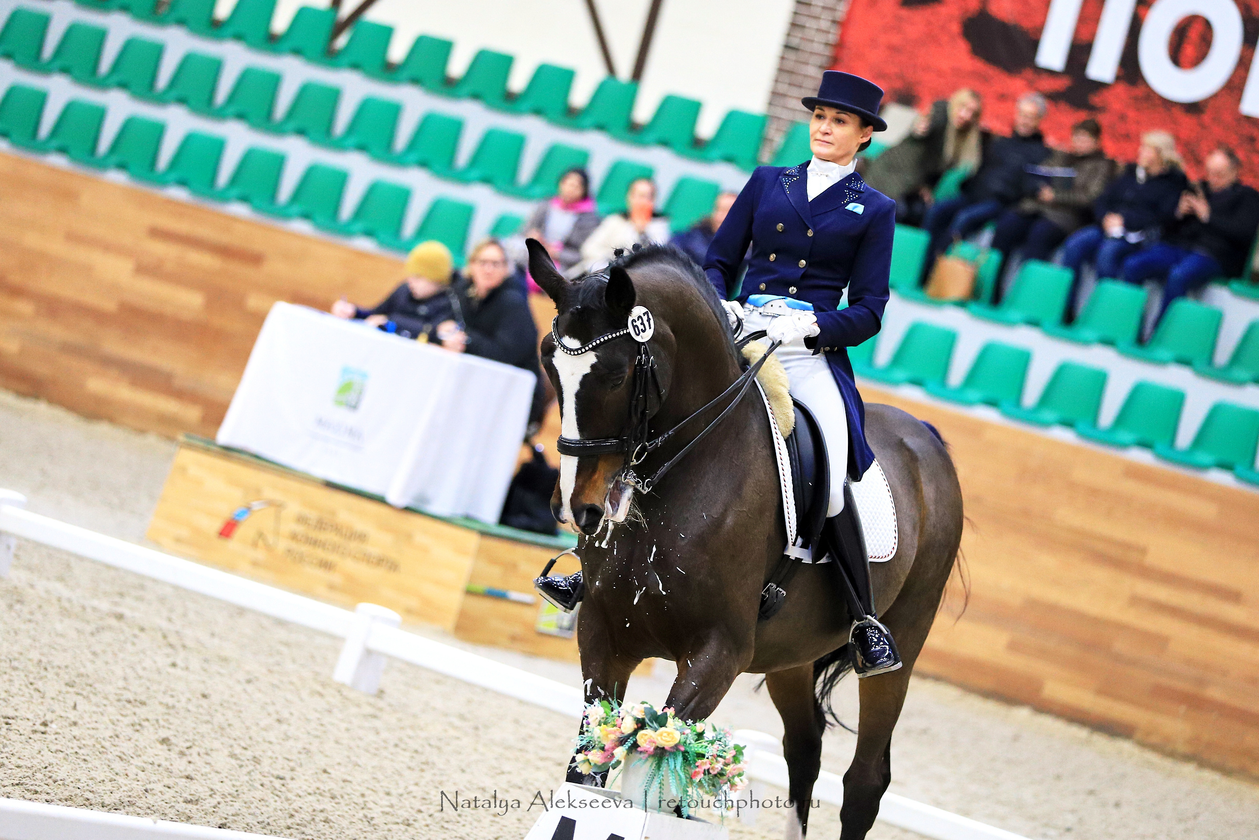 CDI-3*/2*/Y/J/CH, Maxima Stables | 11'2019. Репортажный фотограф и ретушер в Москве Наталья Алексеева