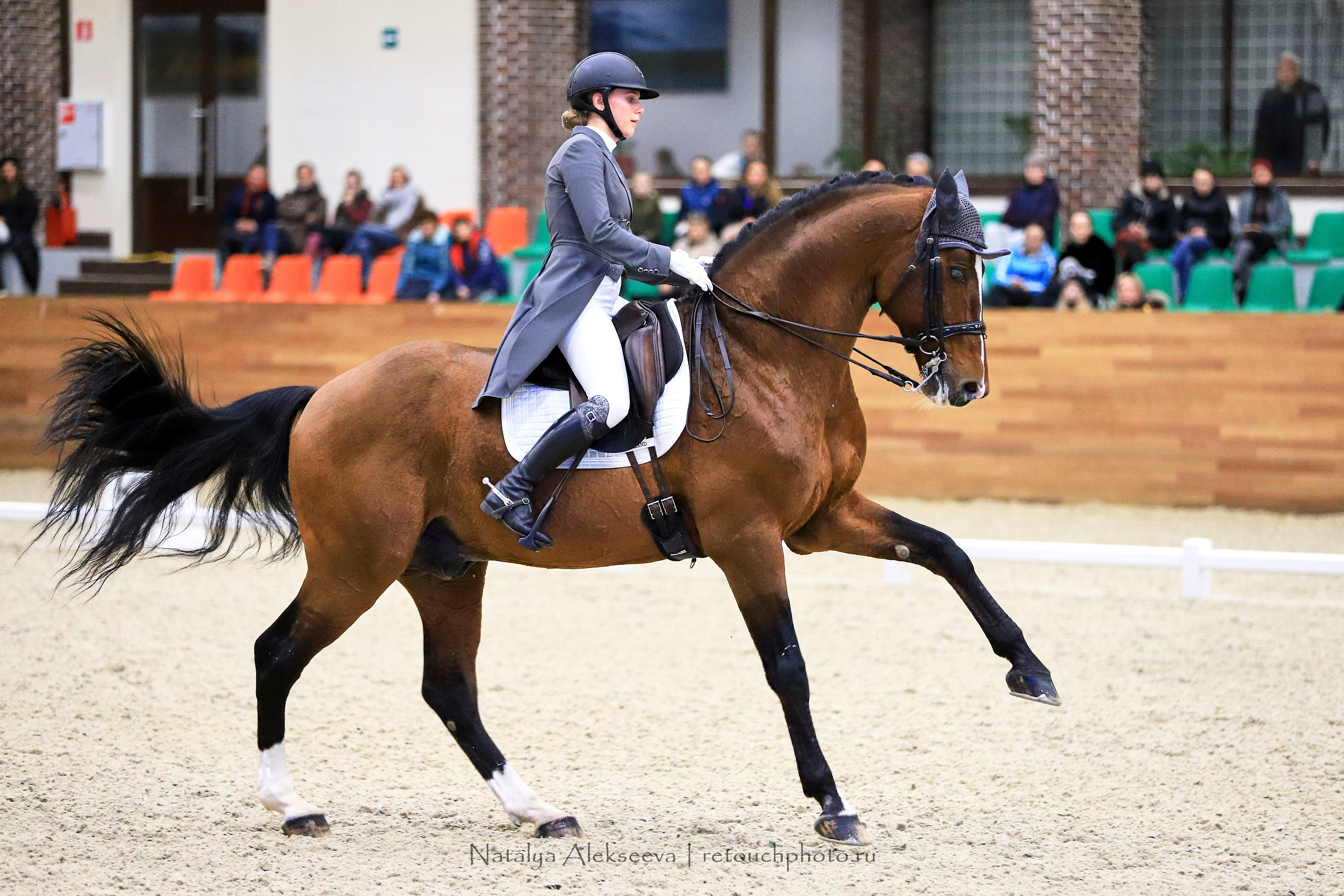 CDI-3*/2*/Y/J/CH, Maxima Stables | 11'2019. Репортажный фотограф и ретушер в Москве Наталья Алексеева