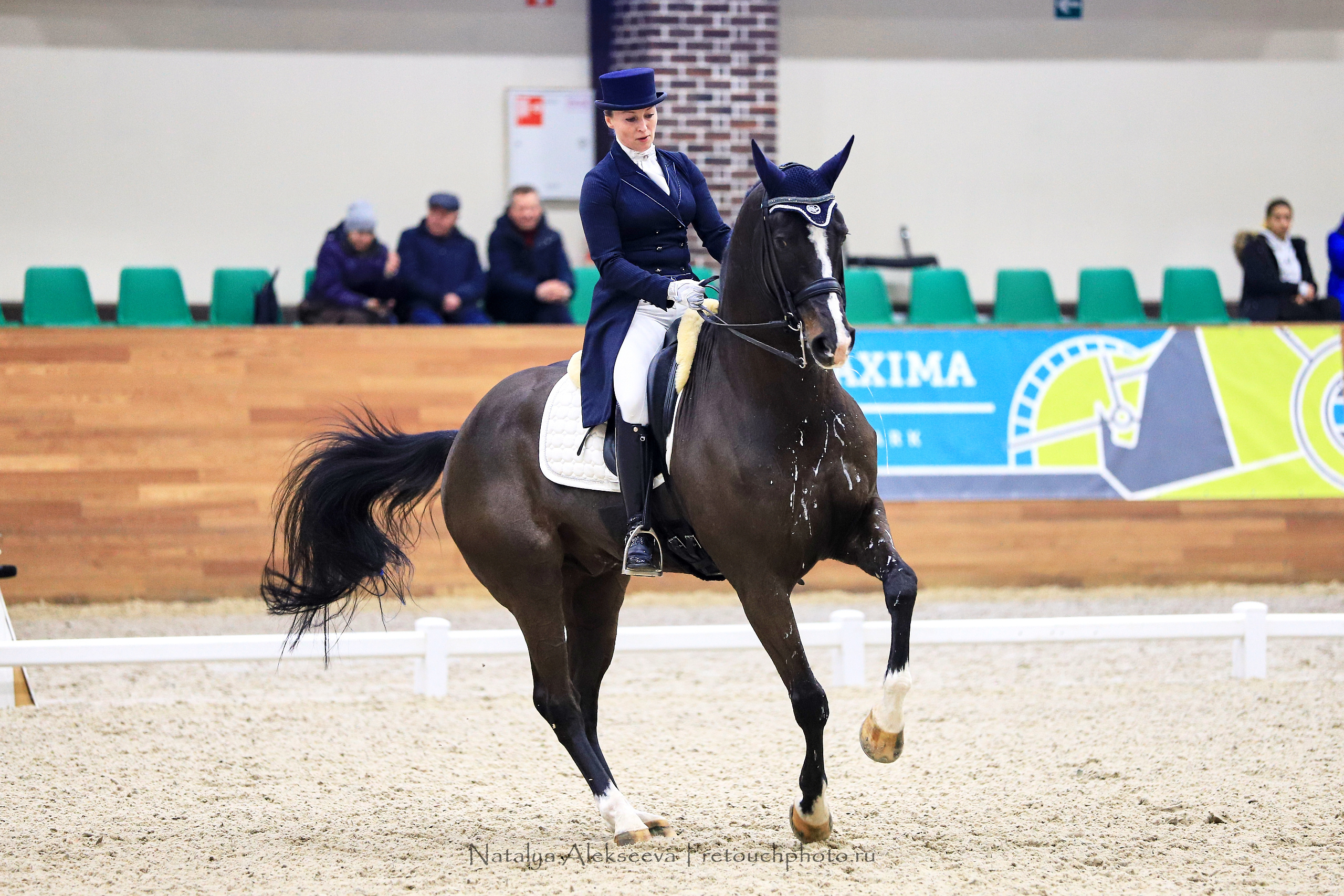 CDI-3*/2*/Y/J/CH, Maxima Stables | 11'2019. Репортажный фотограф и ретушер в Москве Наталья Алексеева