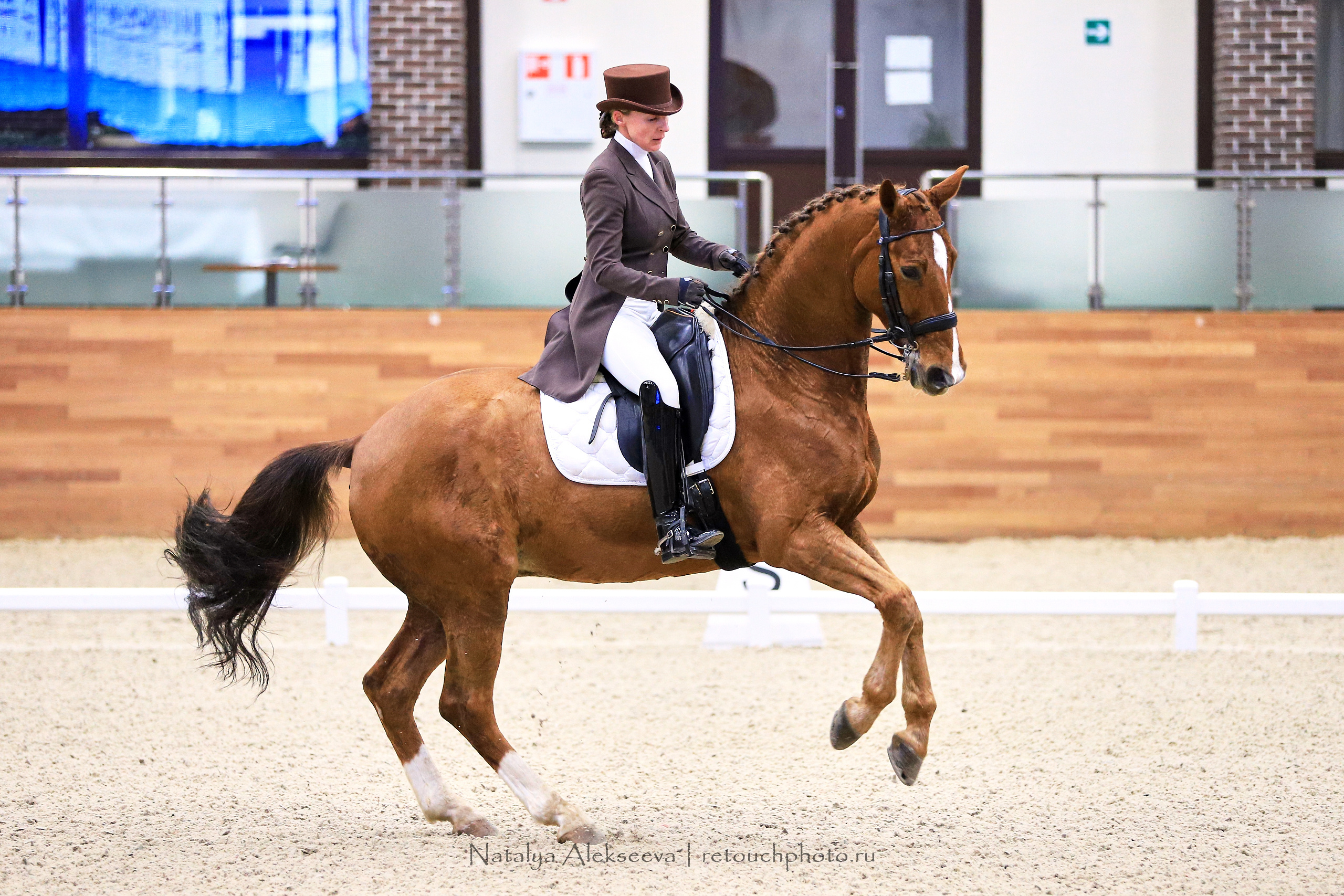 CDI-3*/2*/Y/J/CH, Maxima Stables | 11'2019. Репортажный фотограф и ретушер в Москве Наталья Алексеева