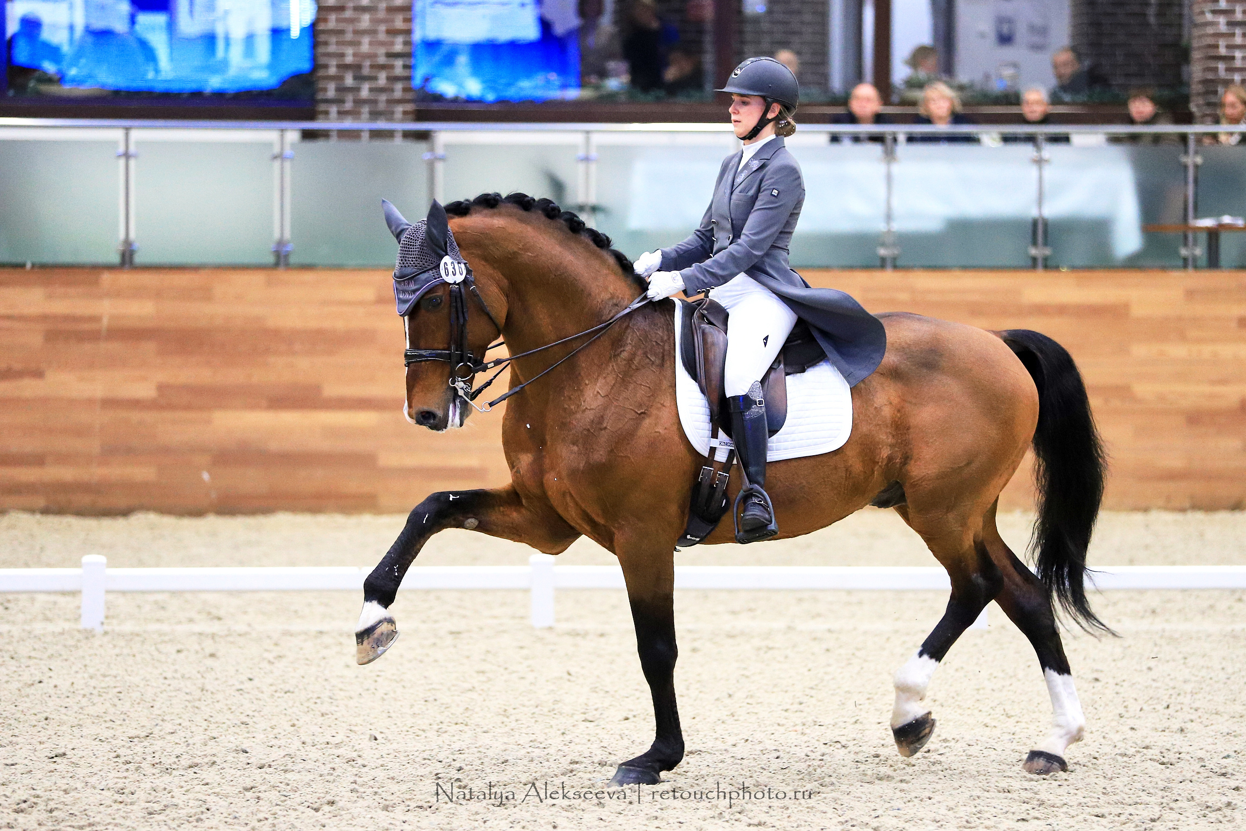 CDI-3*/2*/Y/J/CH, Maxima Stables | 11'2019. Репортажный фотограф и ретушер в Москве Наталья Алексеева