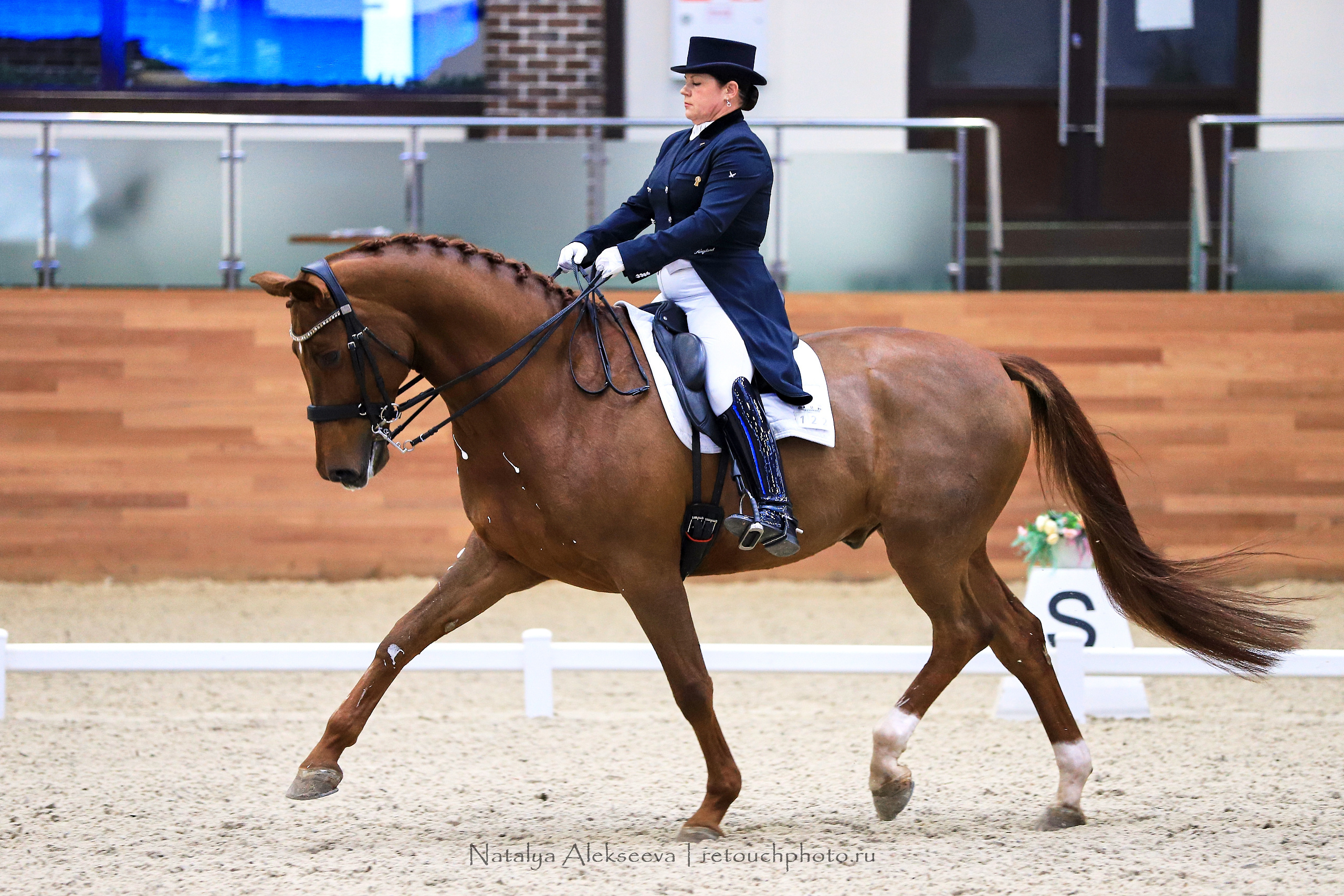 CDI-3*/2*/Y/J/CH, Maxima Stables | 11'2019. Репортажный фотограф и ретушер в Москве Наталья Алексеева