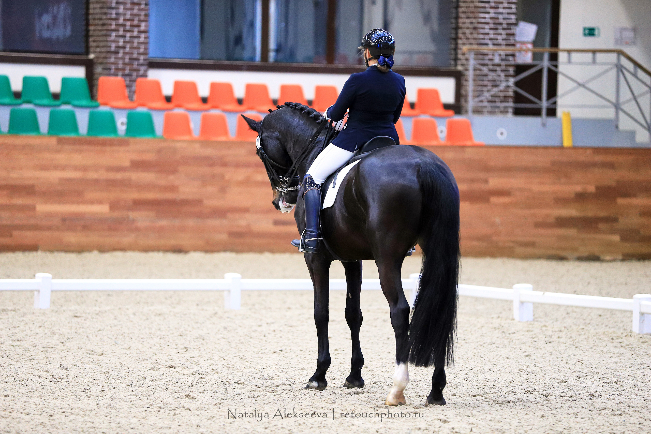 CDI-3*/2*/Y/J/CH, Maxima Stables | 11'2019. Репортажный фотограф и ретушер в Москве Наталья Алексеева