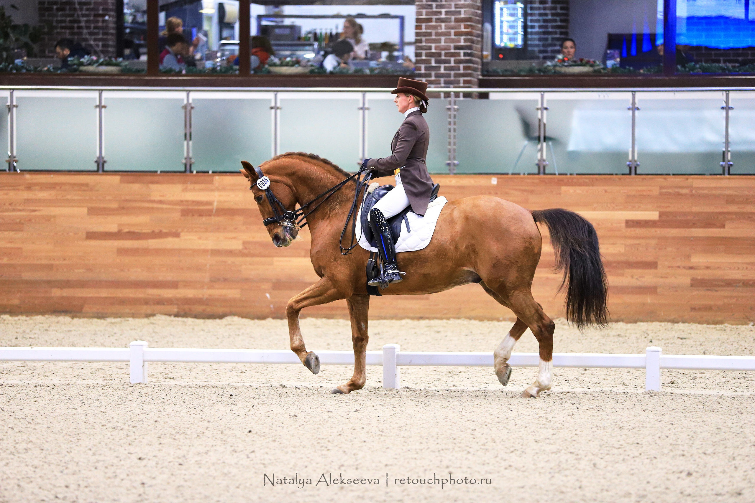 CDI-3*/2*/Y/J/CH, Maxima Stables | 11'2019. Репортажный фотограф и ретушер в Москве Наталья Алексеева