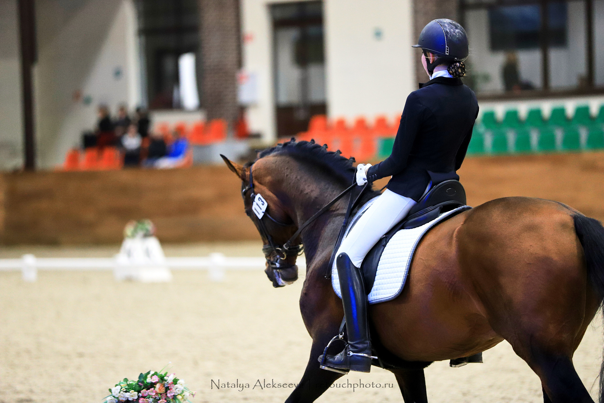 CDI-3*/2*/Y/J/CH, Maxima Stables | 11'2019. Репортажный фотограф и ретушер в Москве Наталья Алексеева