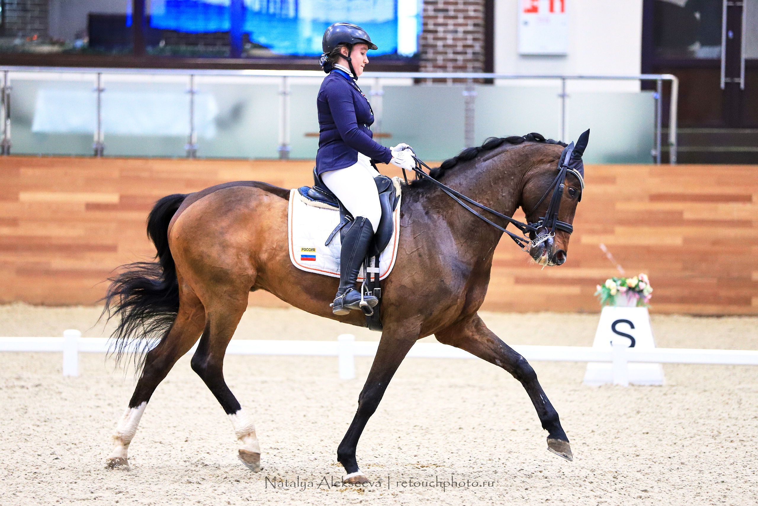 CDI-3*/2*/Y/J/CH, Maxima Stables | 11'2019. Репортажный фотограф и ретушер в Москве Наталья Алексеева